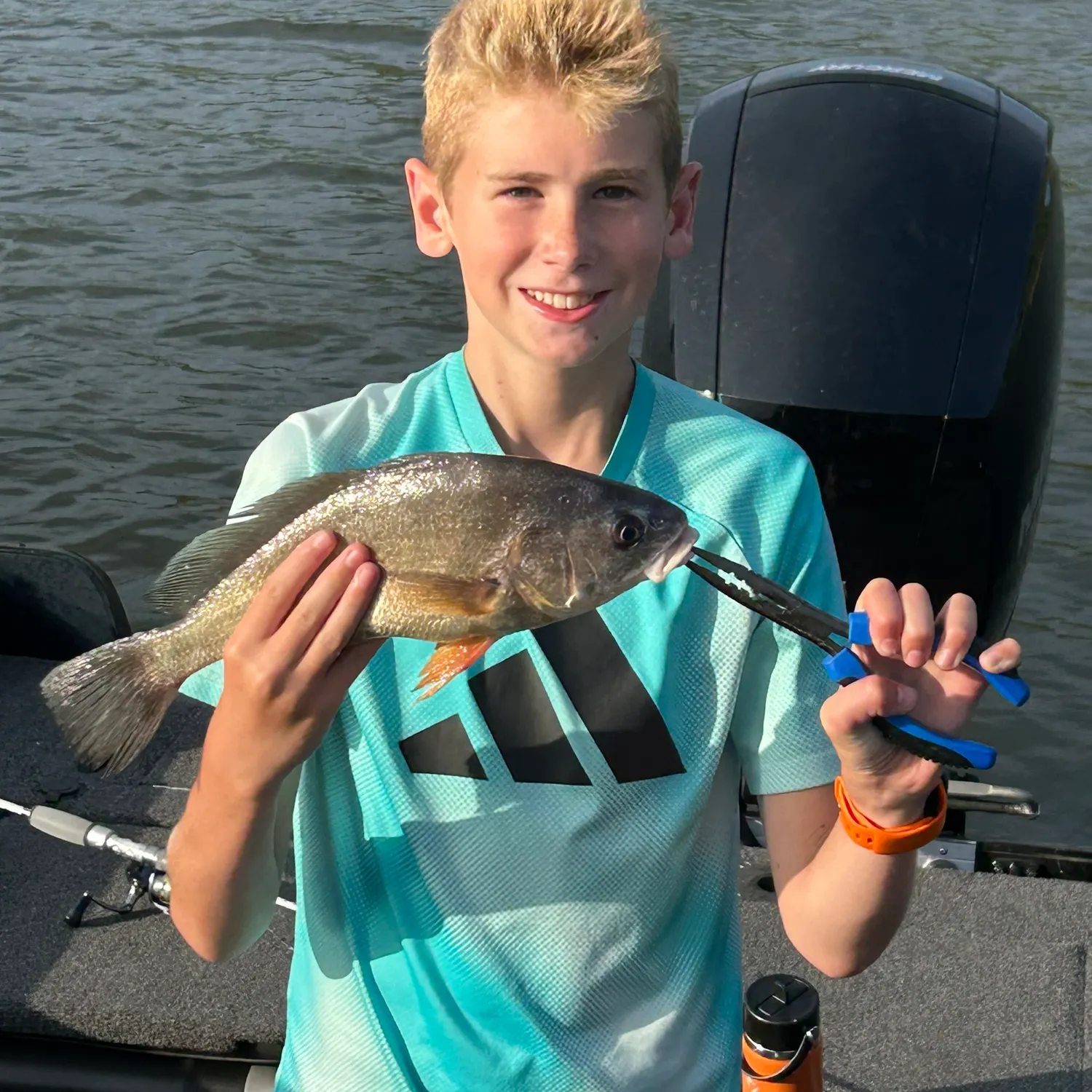 Freshwater drum caught on Fishbrain