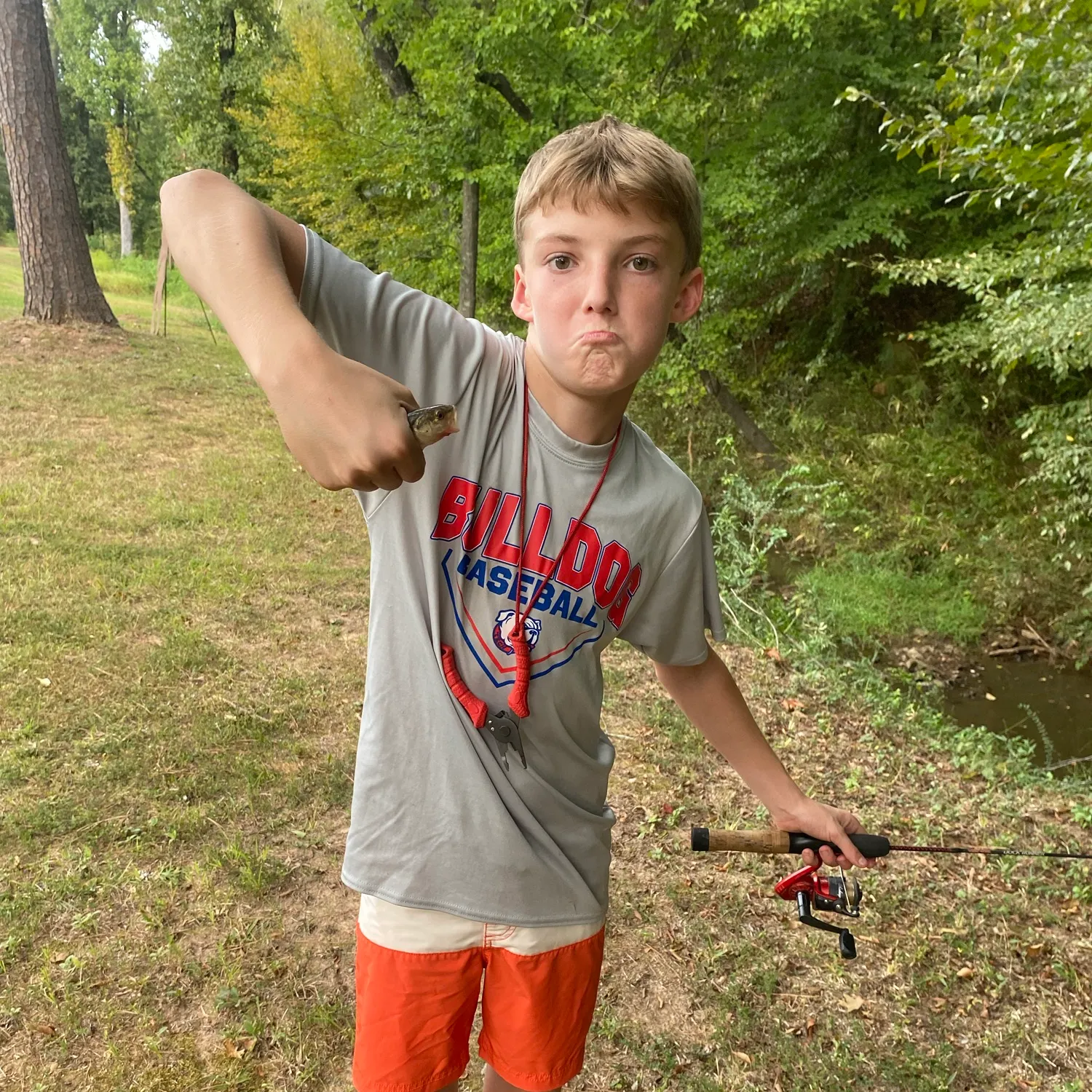 Creek chub caught on Fishbrain