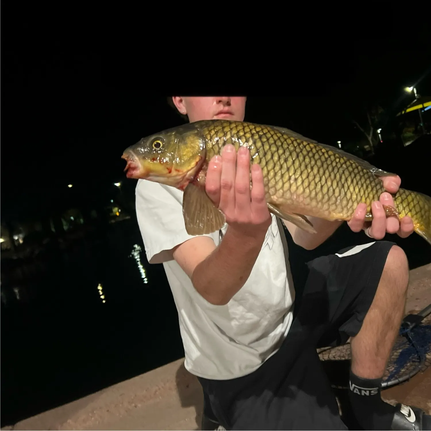 most liked catch image