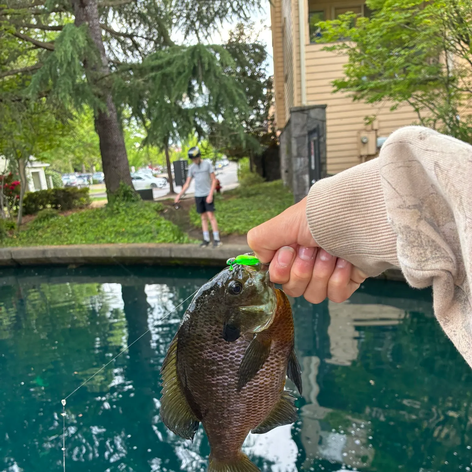 catch