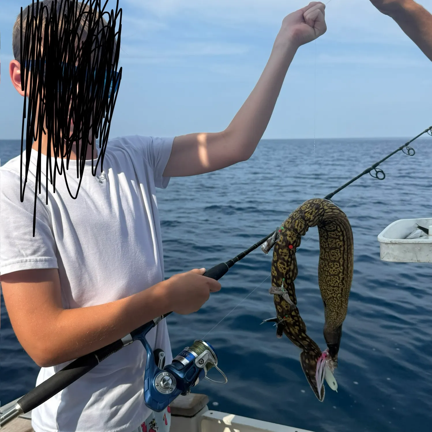 The most recent Leopard moray eel catches on Fishbrain