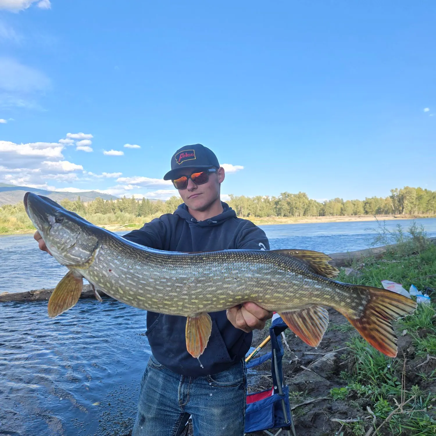 Northern pike caught on Fishbrain