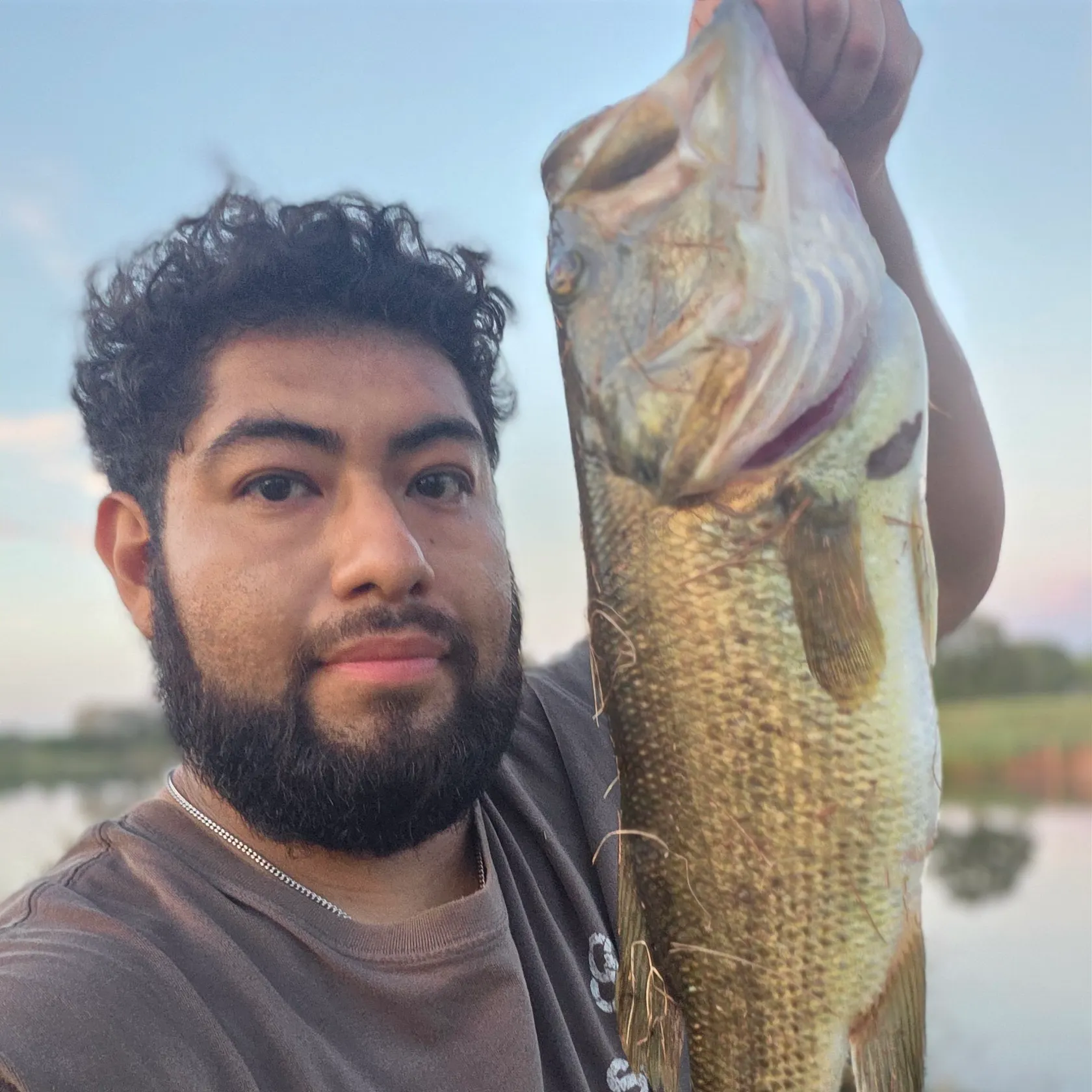 Largemouth bass caught on Fishbrain