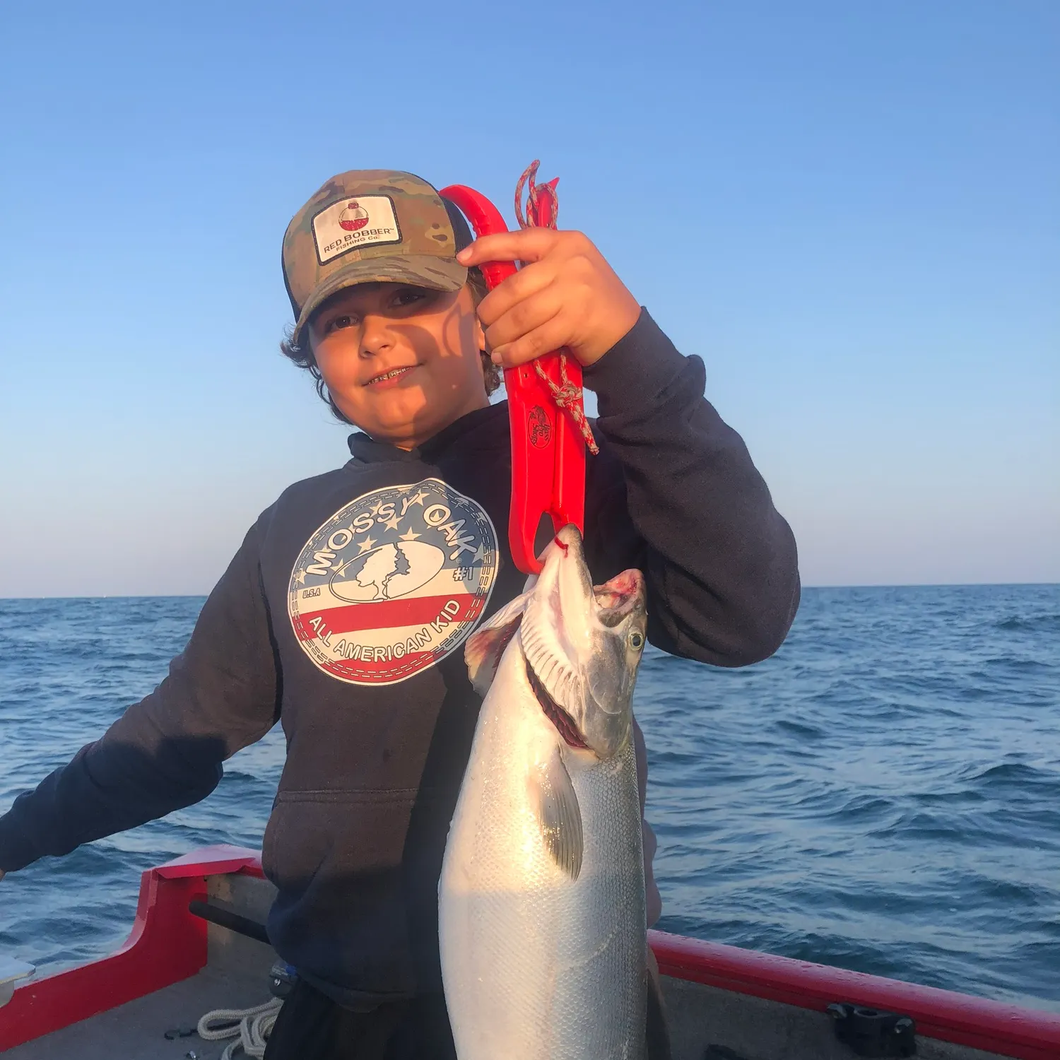 The most recent Coho salmon catches on Fishbrain