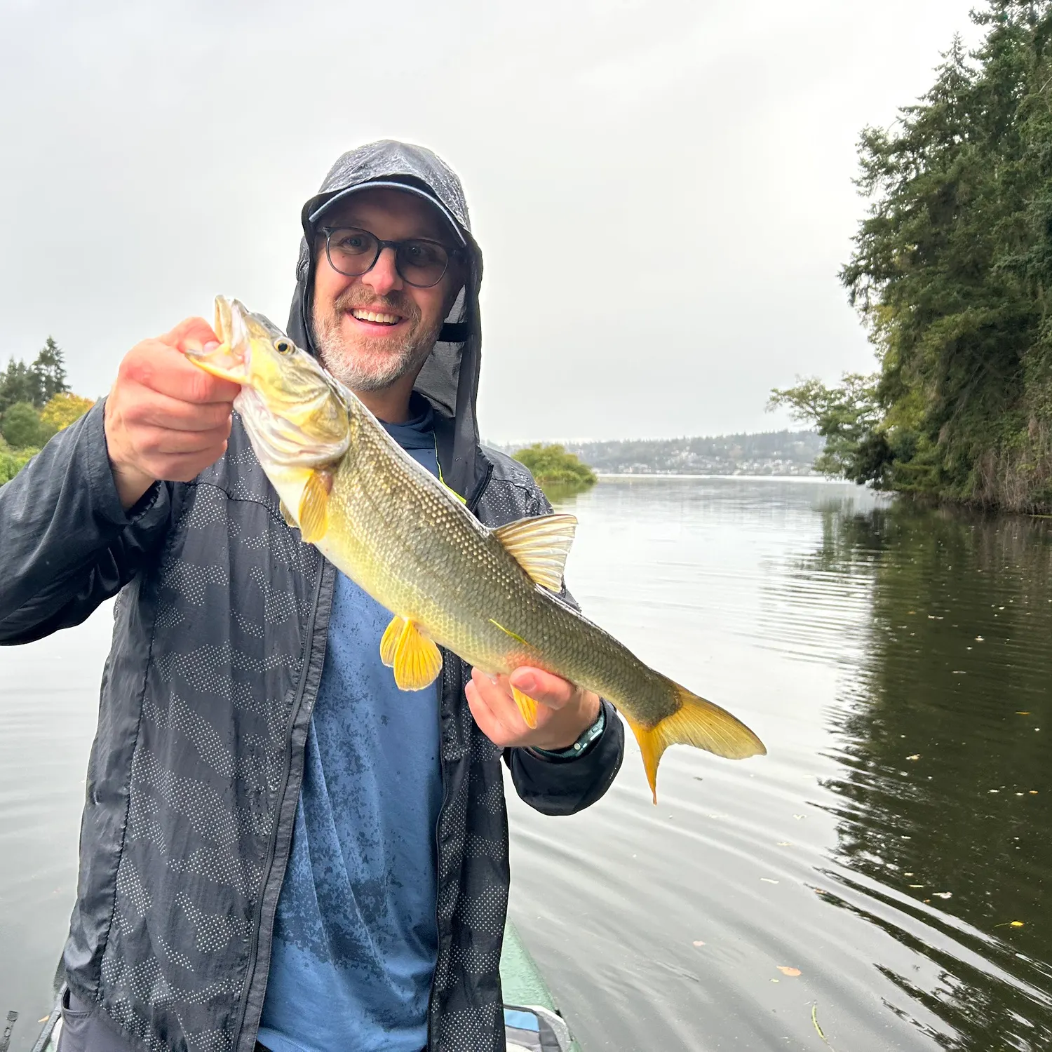 Northern pikeminnow caught on Fishbrain
