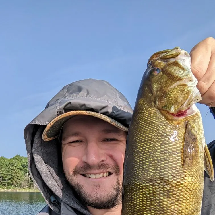 Smallmouth bass caught on Fishbrain