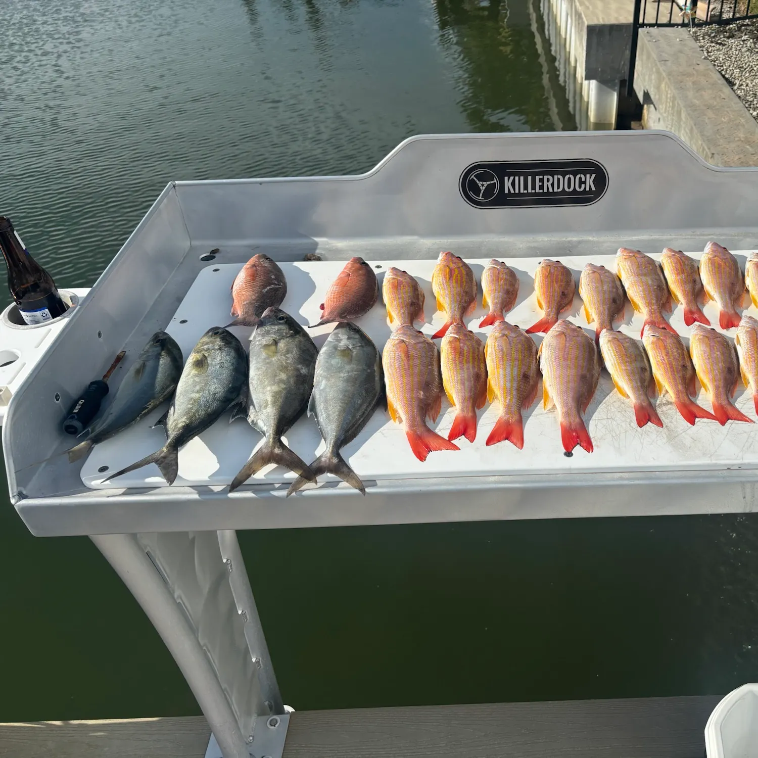 Lane snapper caught on Fishbrain
