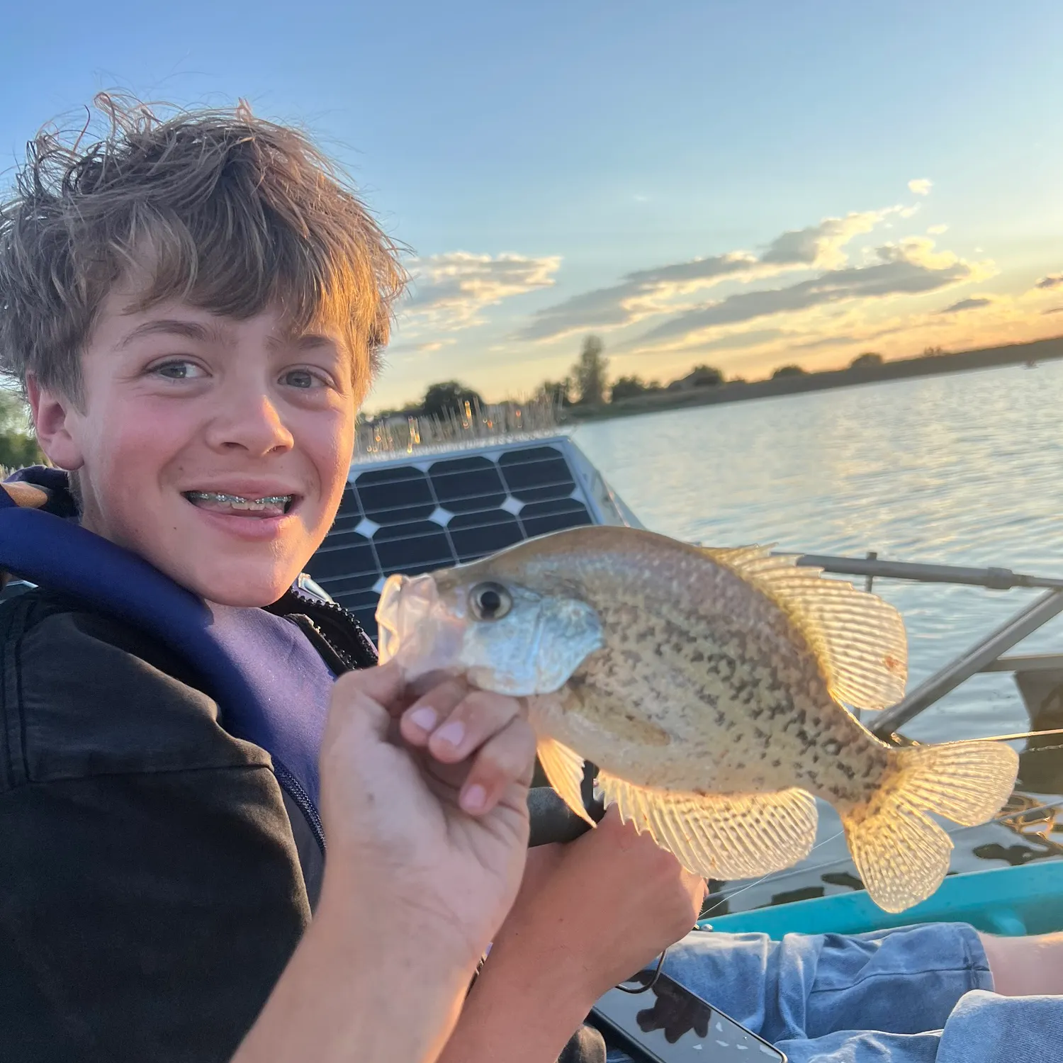 Black crappie caught on Fishbrain