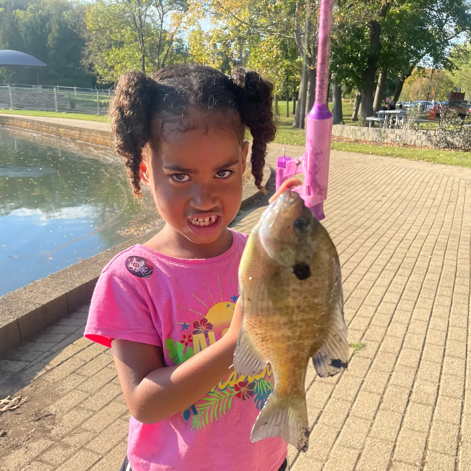 Bluegill caught on Fishbrain