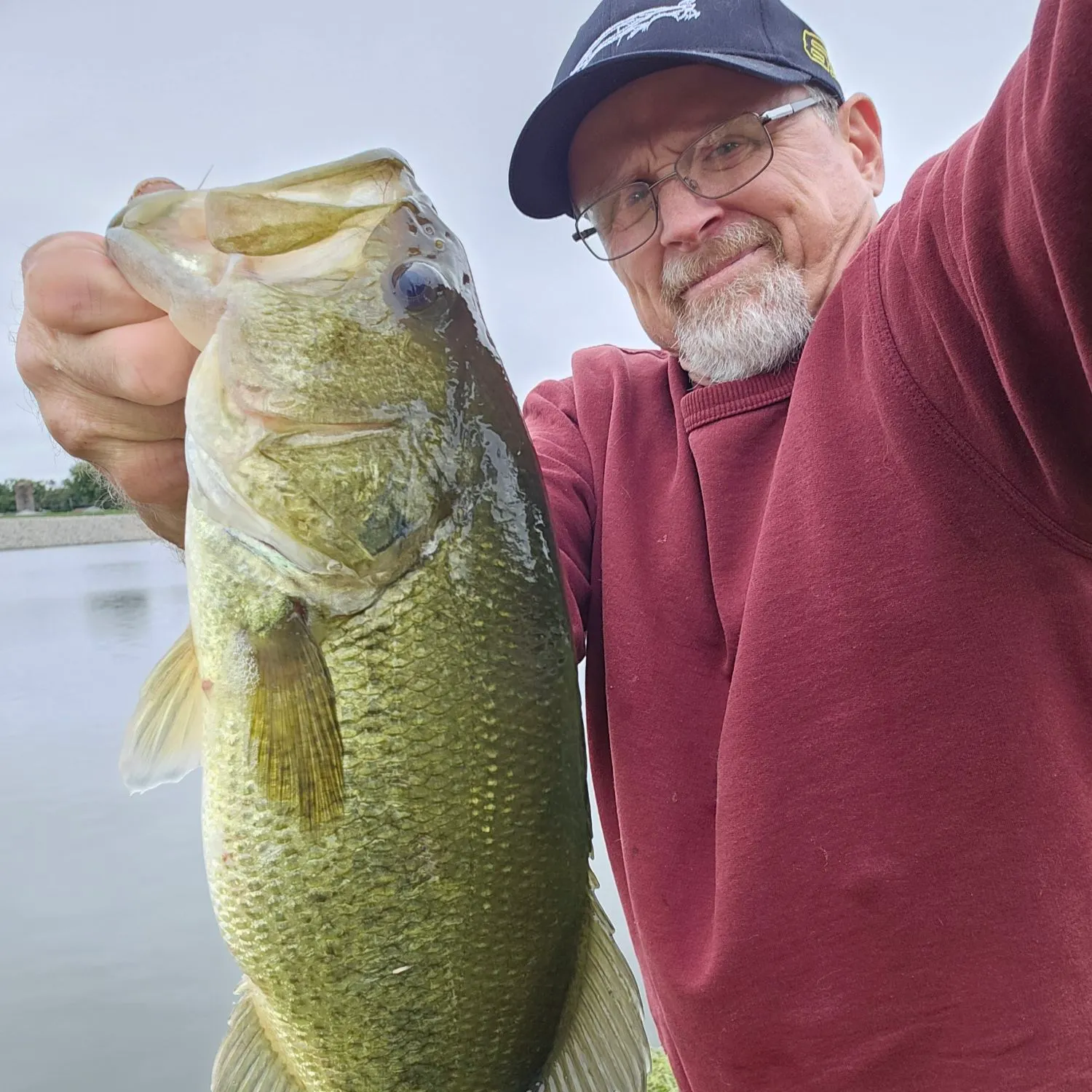 Largemouth bass caught on Fishbrain