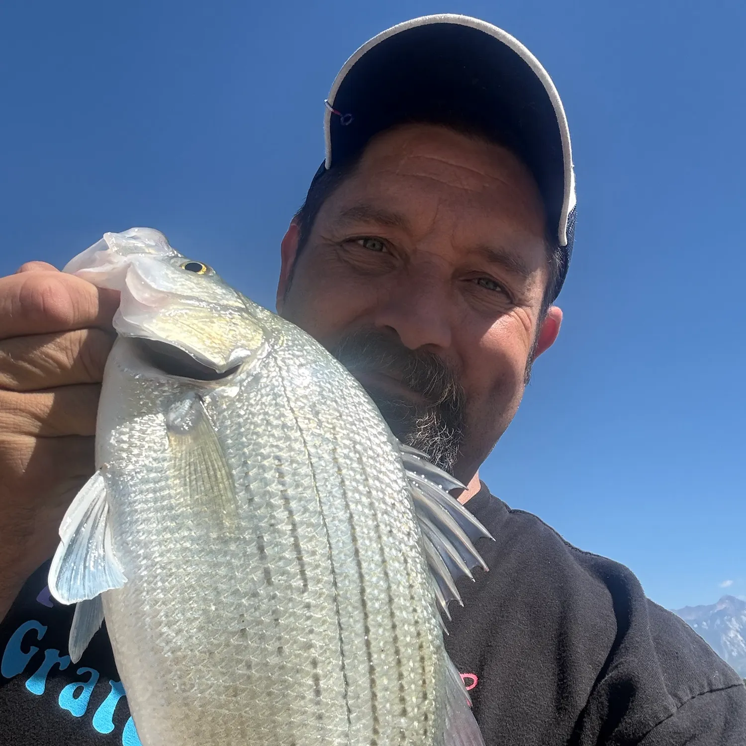 White bass caught on Fishbrain