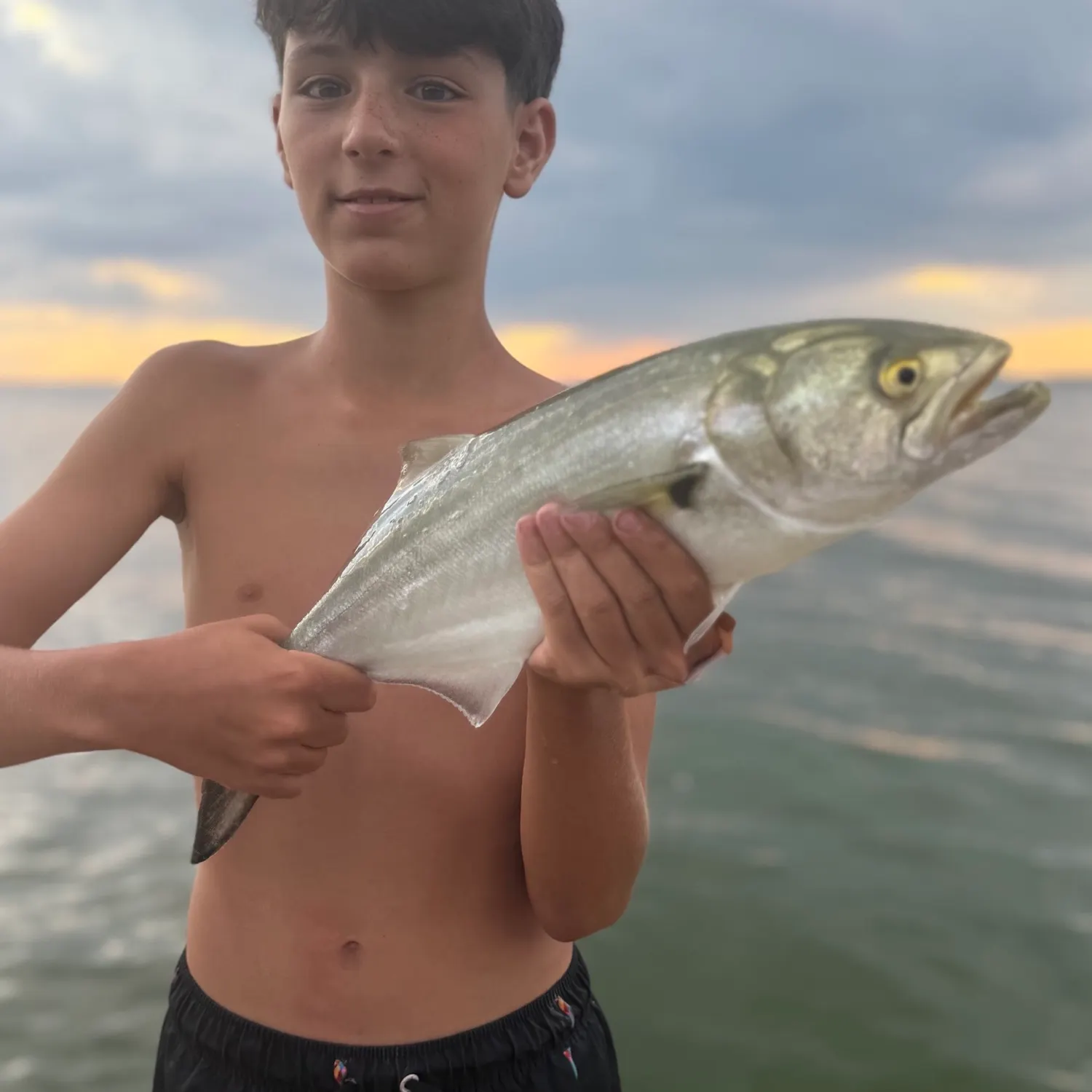 Bluefish caught on Fishbrain