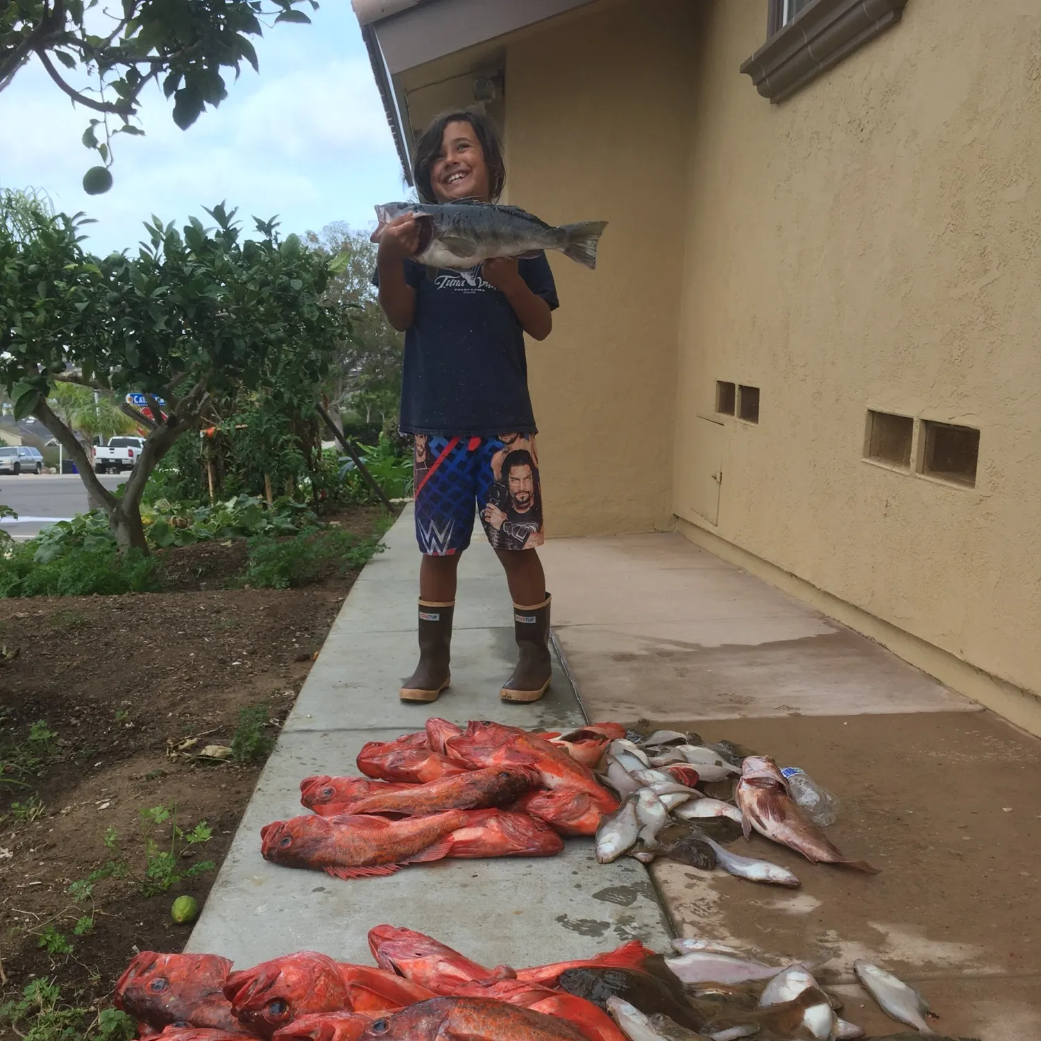 The most recent Vermilion rockfish catches on Fishbrain