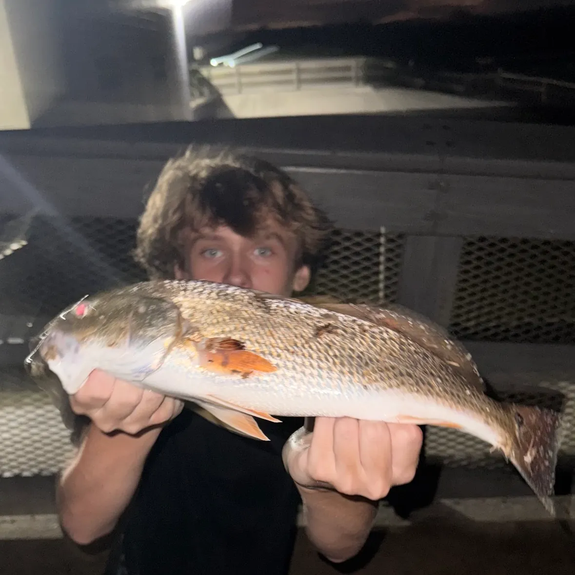 Red drum caught on Fishbrain