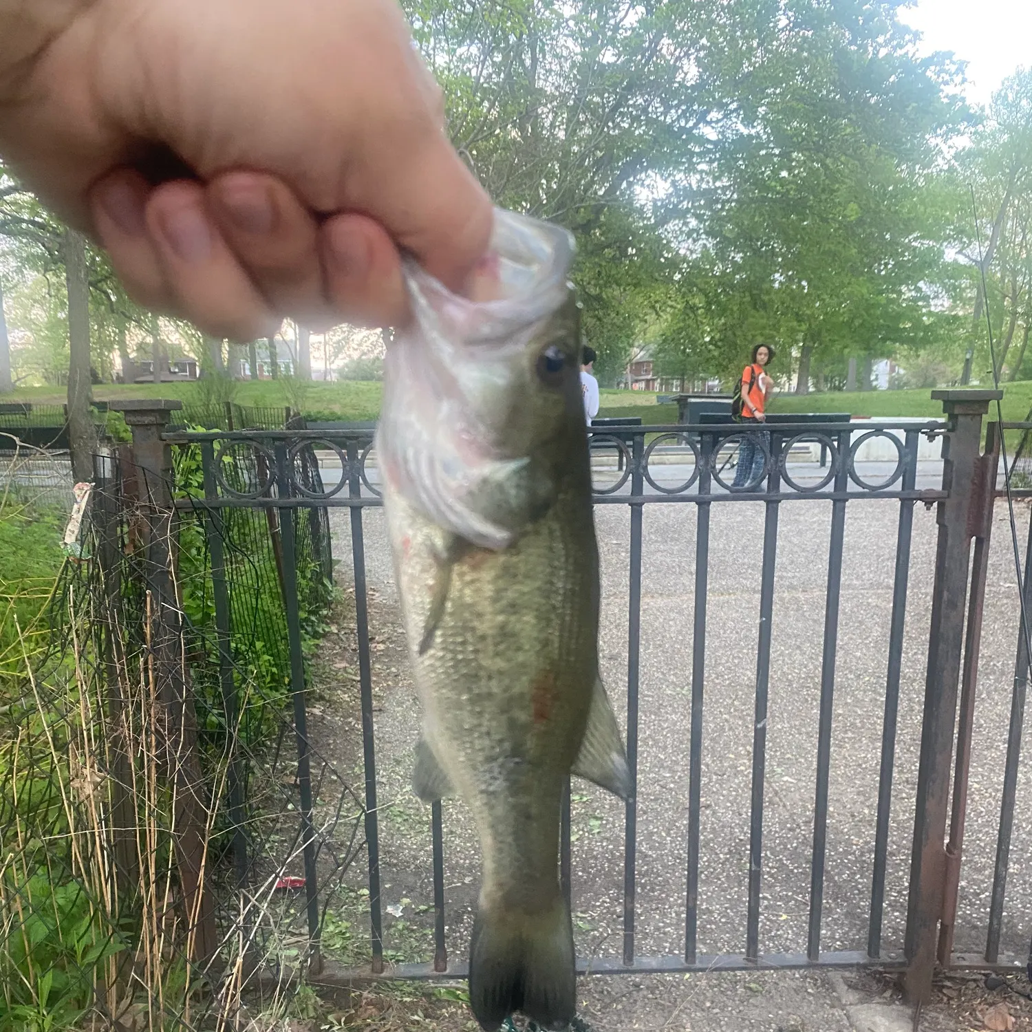 catch