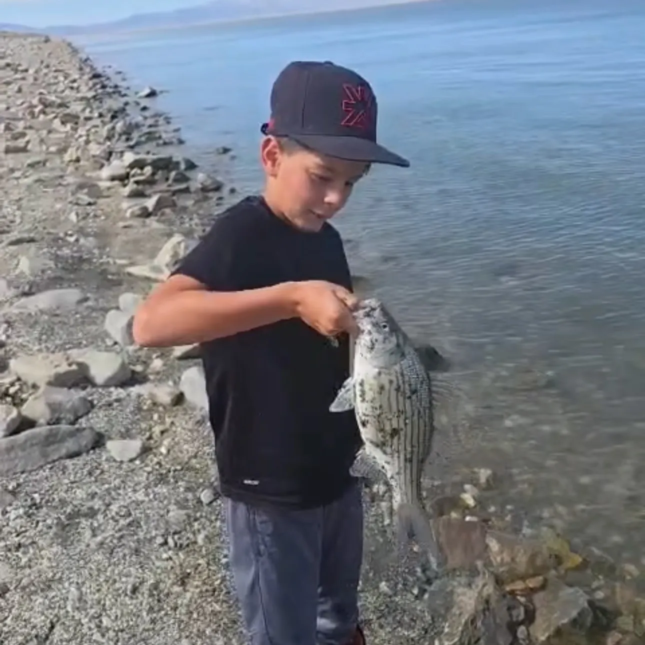 Wiper caught on Fishbrain