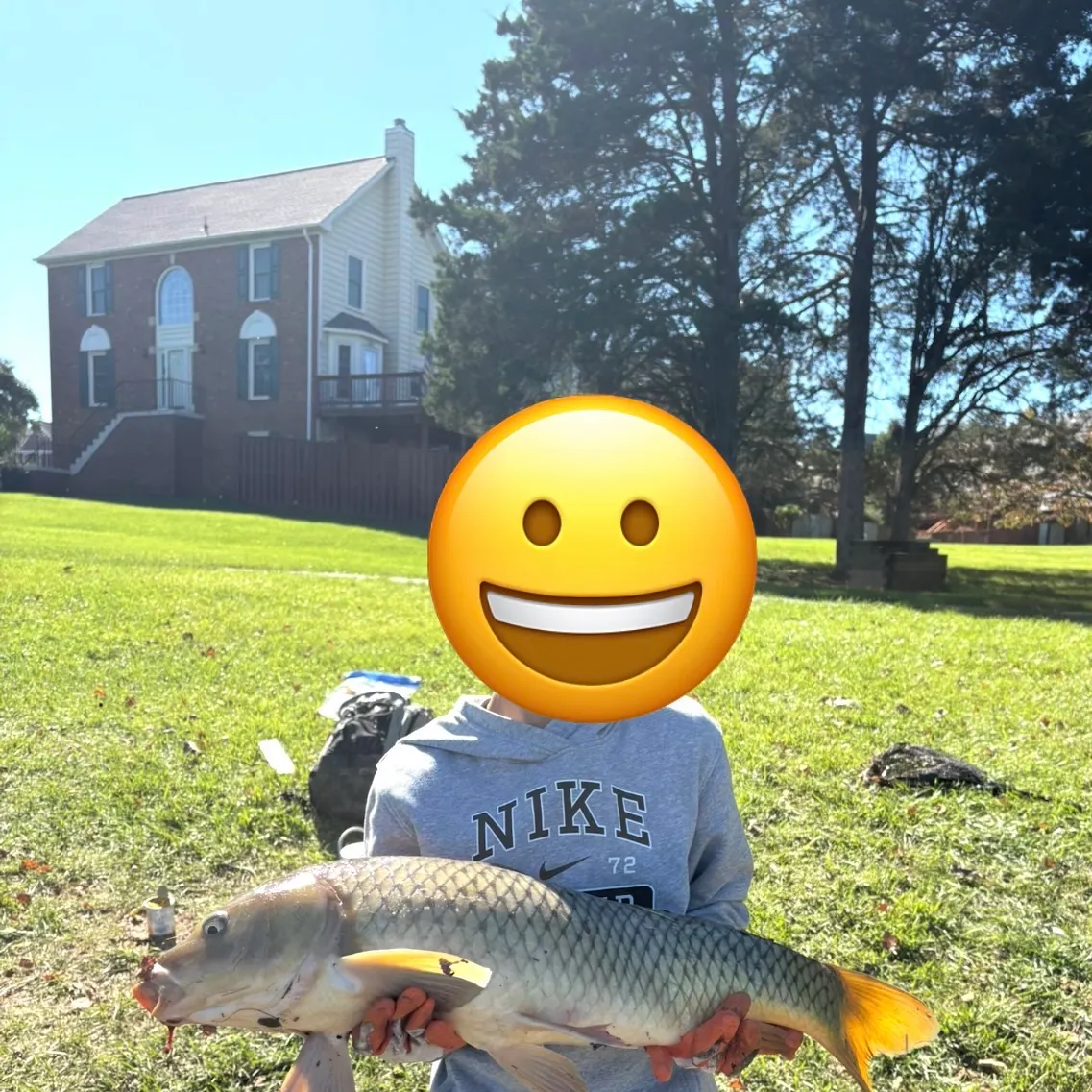 Common carp caught on Fishbrain