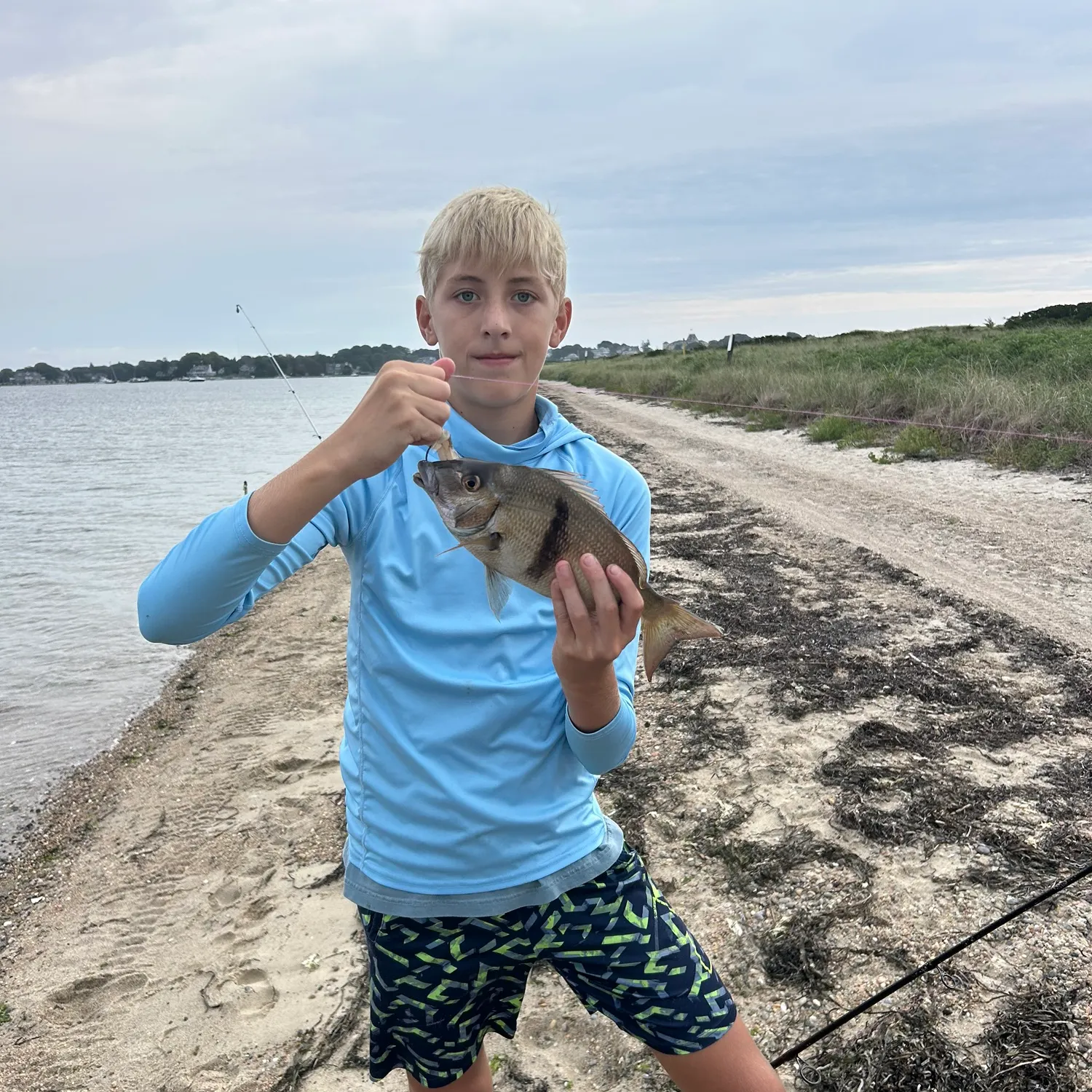 Scup caught on Fishbrain