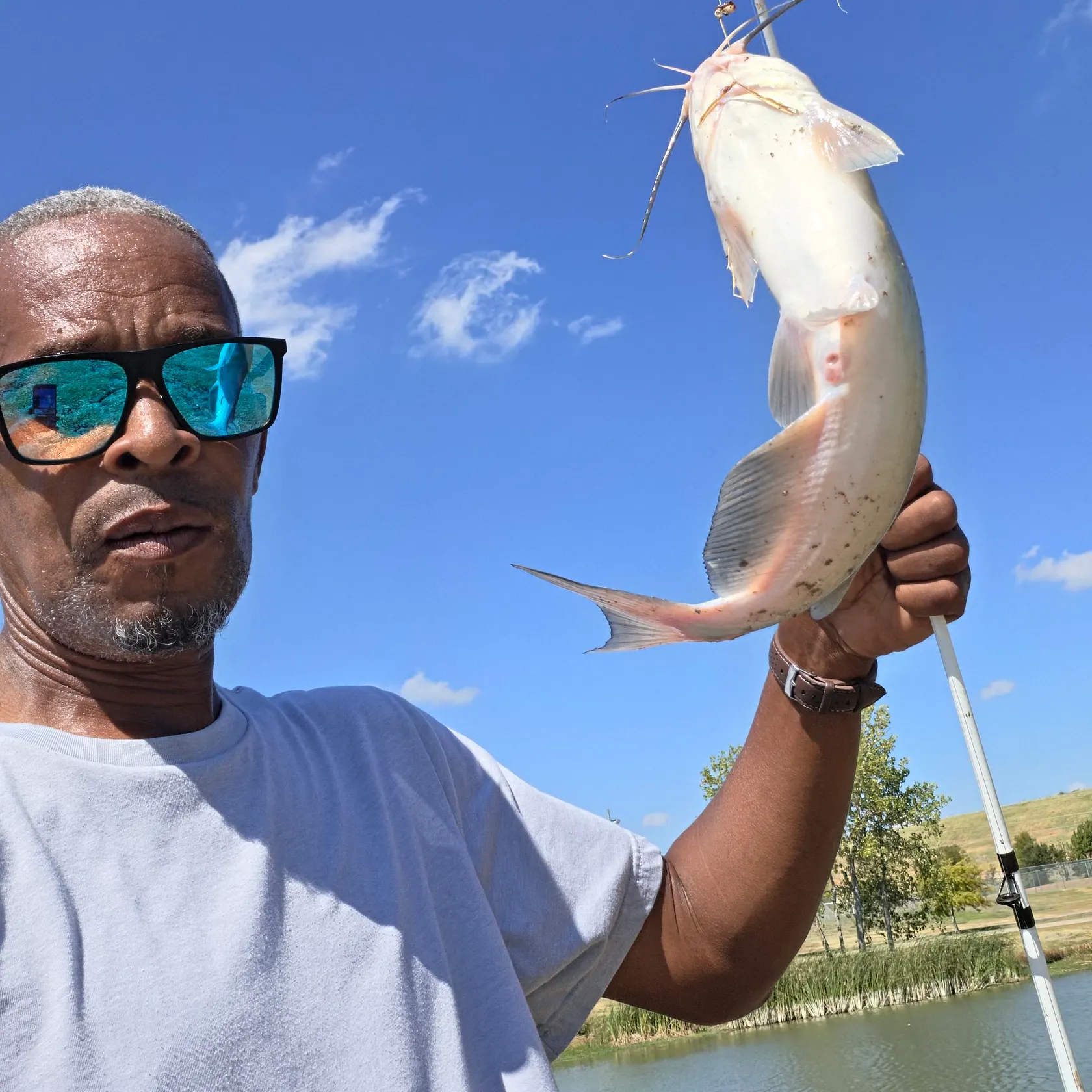 Channel catfish caught on Fishbrain