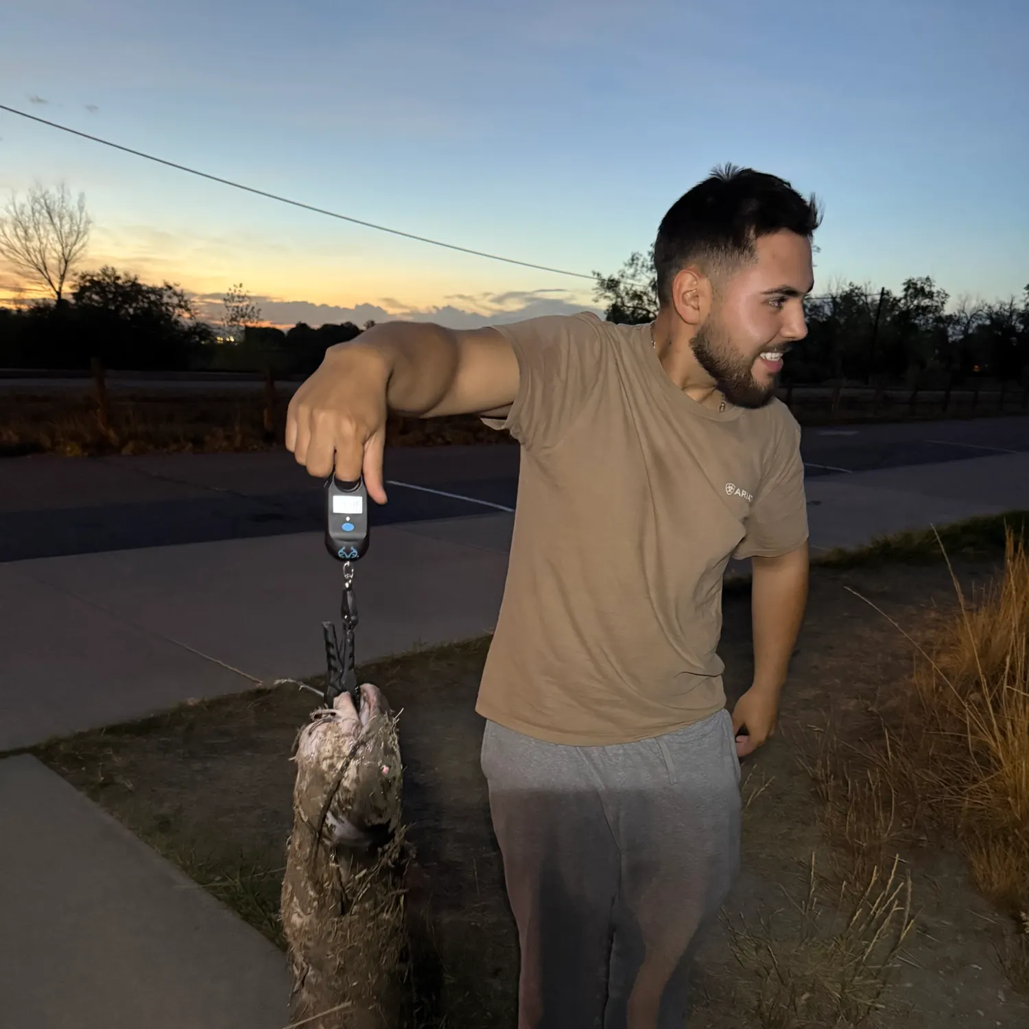 Channel catfish caught on Fishbrain