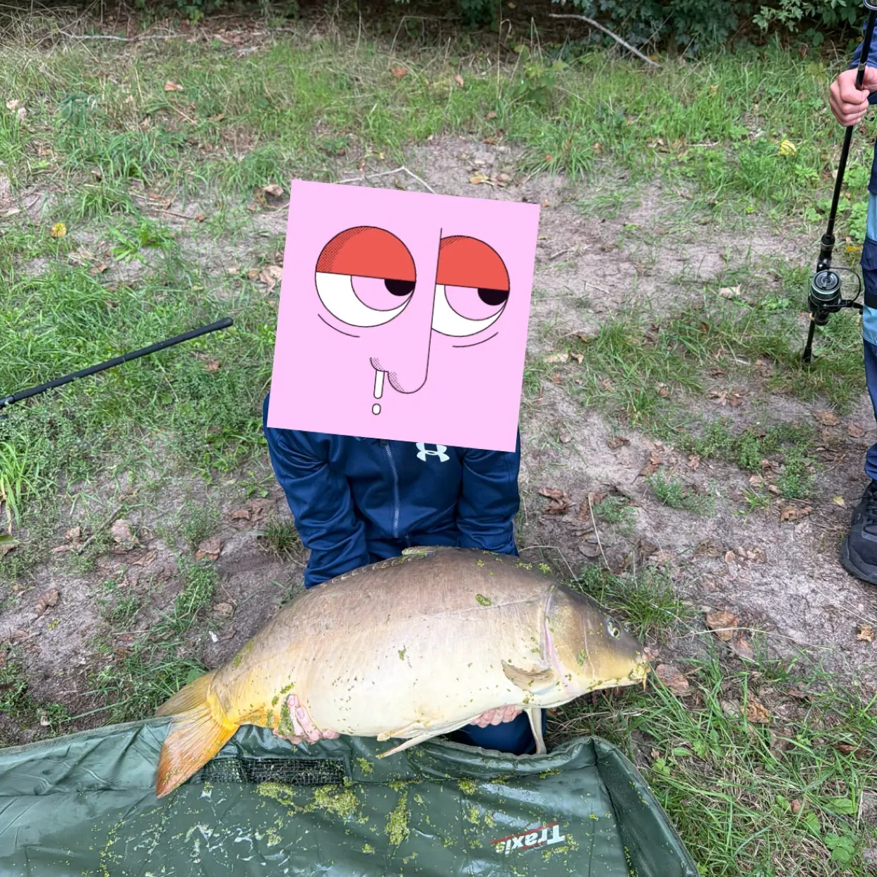 Mirror carp caught on Fishbrain