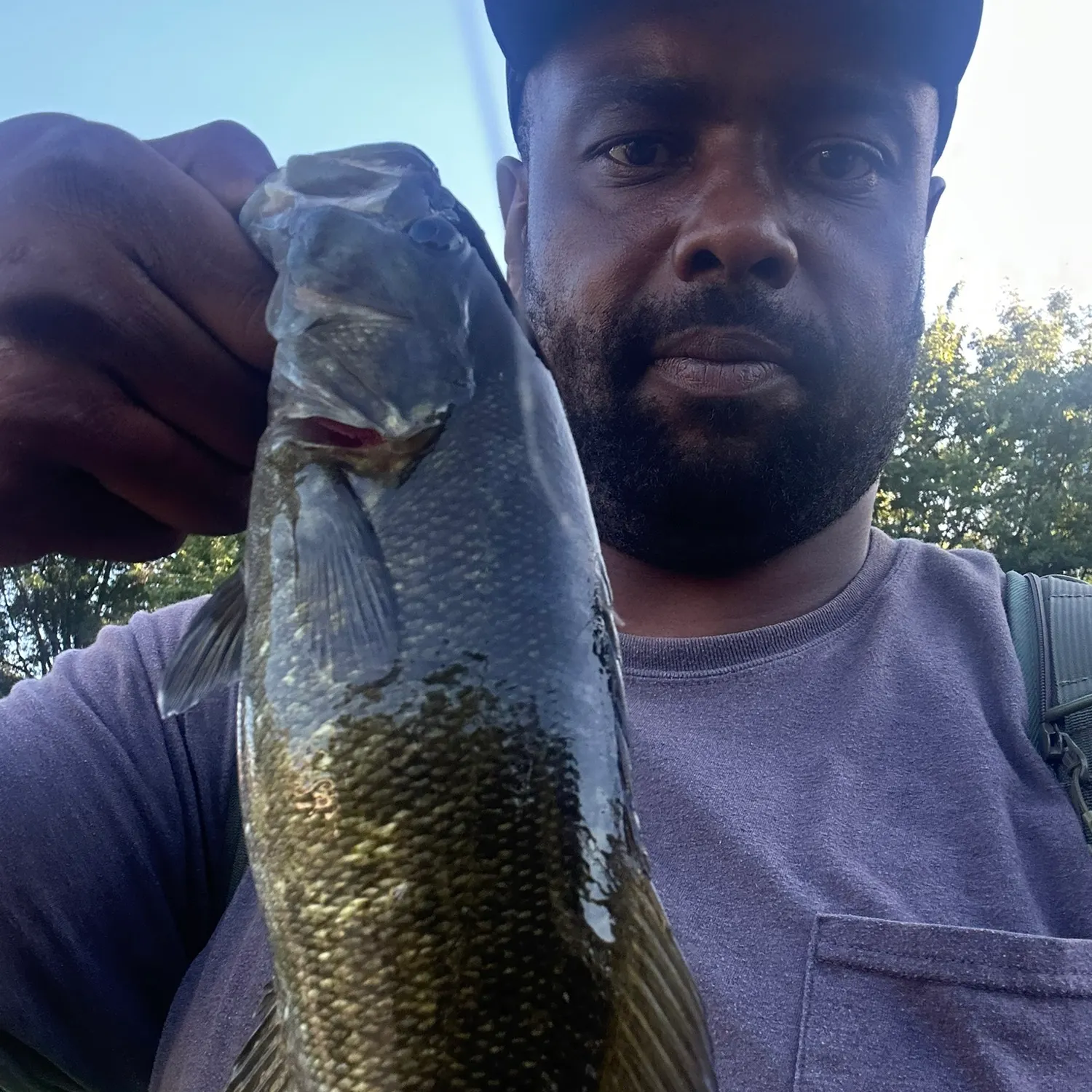 Smallmouth bass caught on Fishbrain
