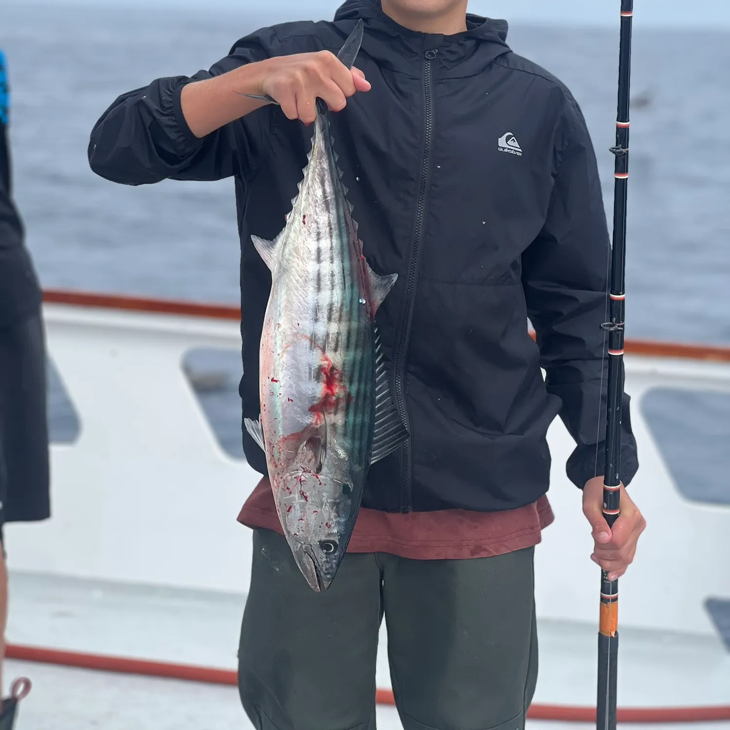The most recent Eastern Pacific bonito catches on Fishbrain