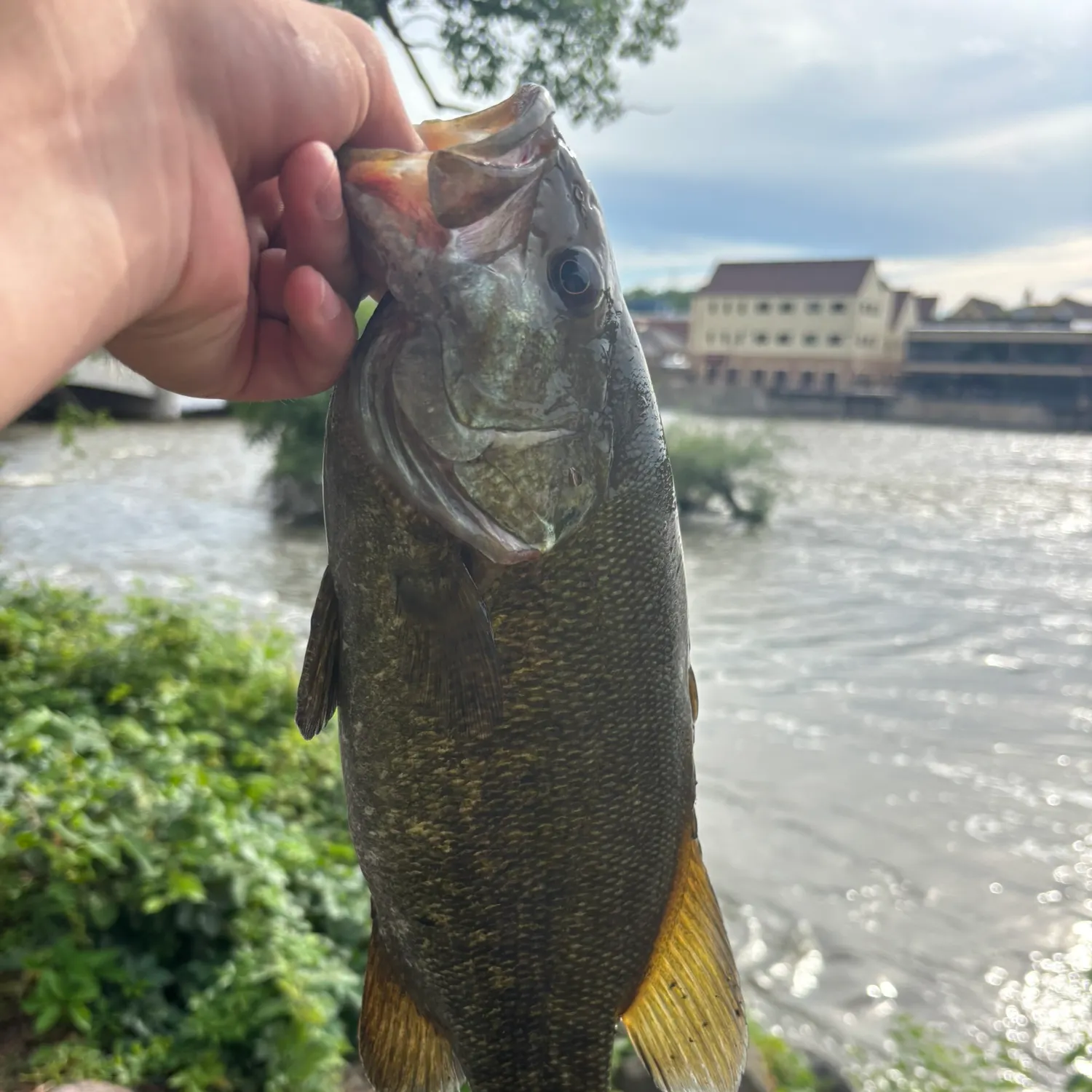 catch
