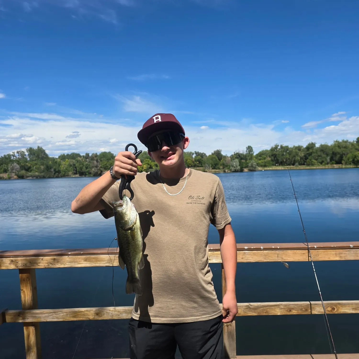 Largemouth bass caught on Fishbrain