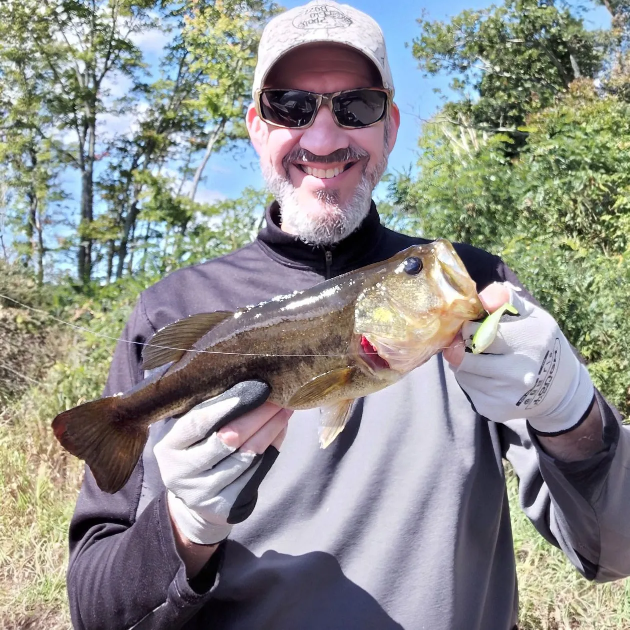 Largemouth bass caught on Fishbrain