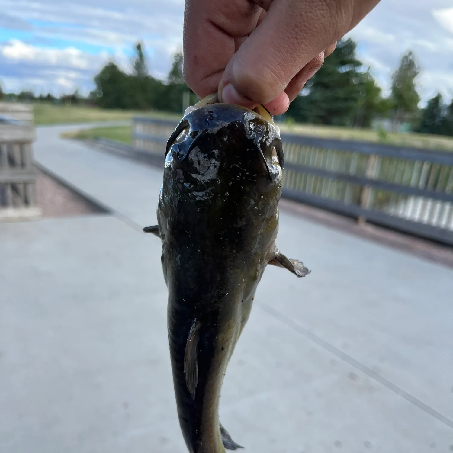 catch