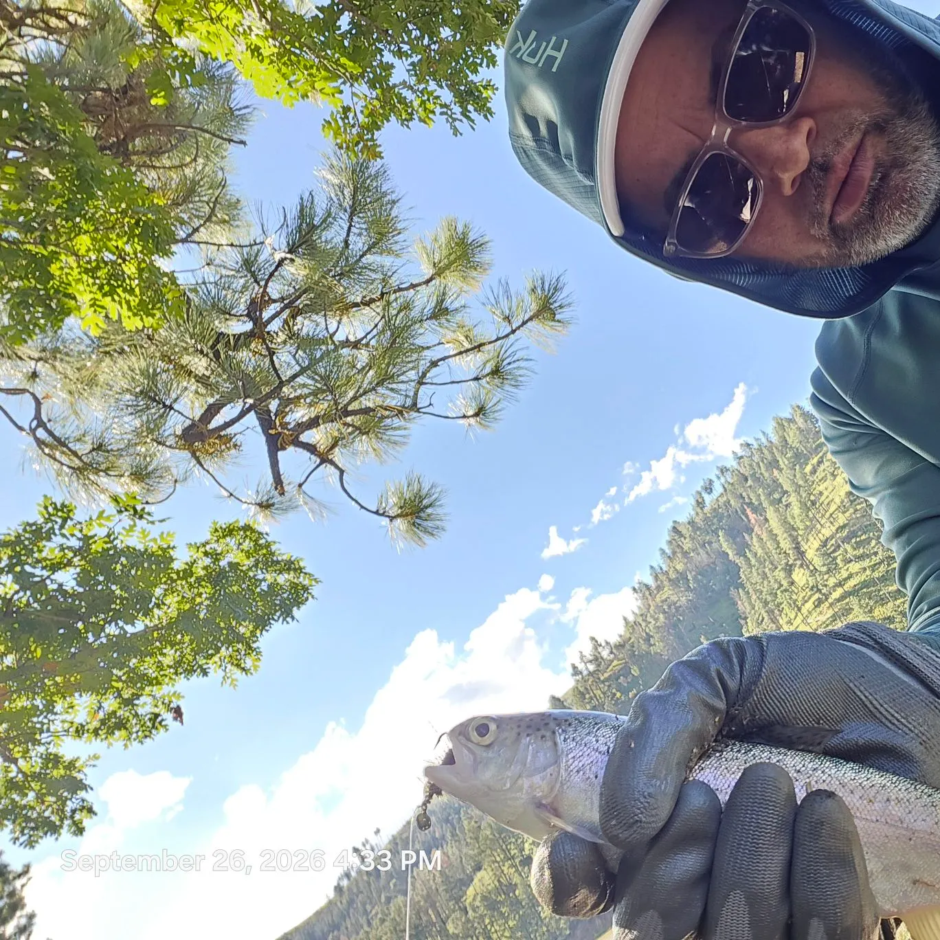 Rainbow trout caught on Fishbrain
