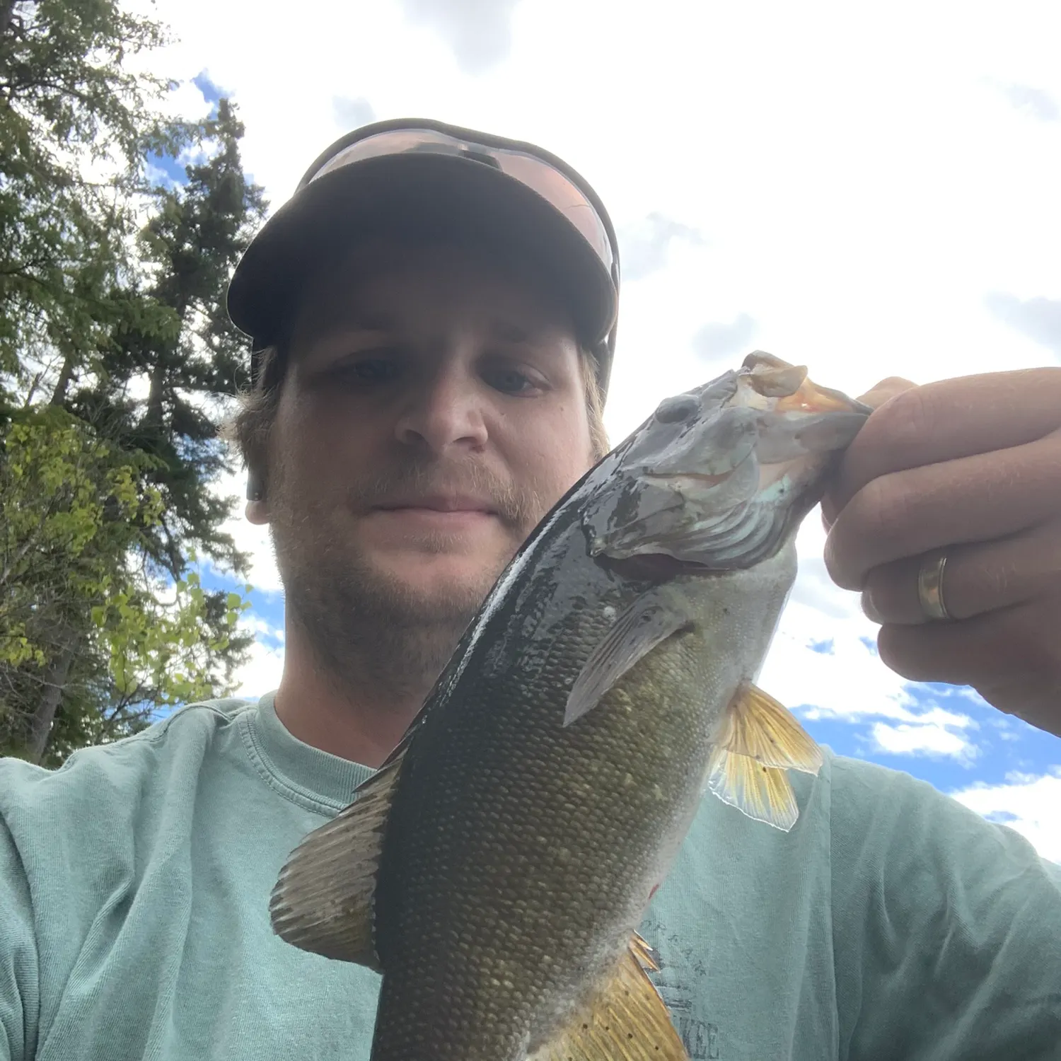Smallmouth bass caught on Fishbrain