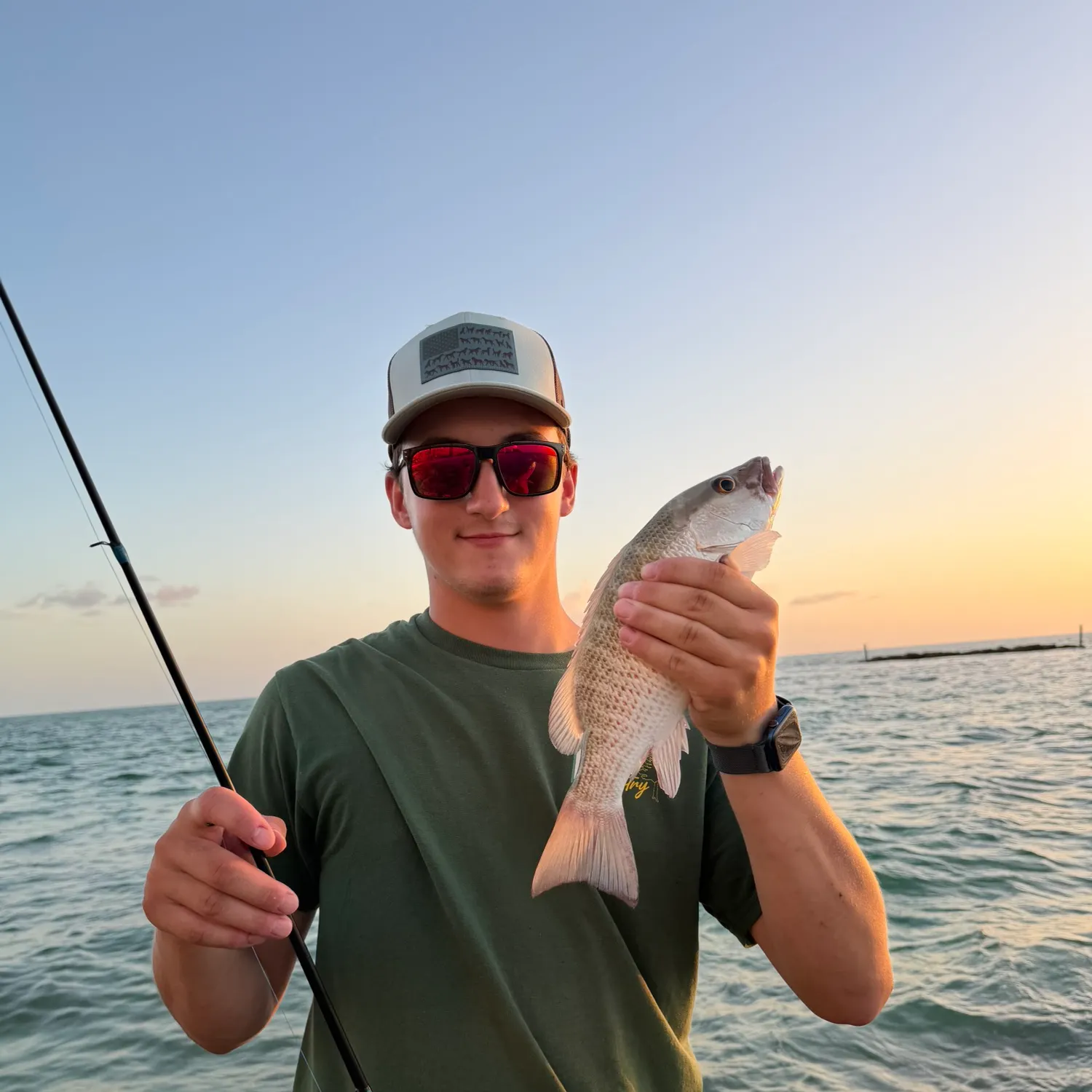 Mangrove snapper caught on Fishbrain