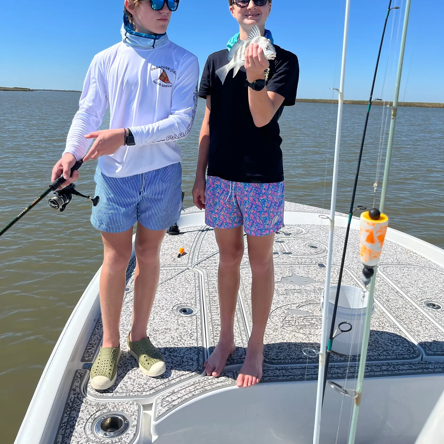 Black drum caught on Fishbrain