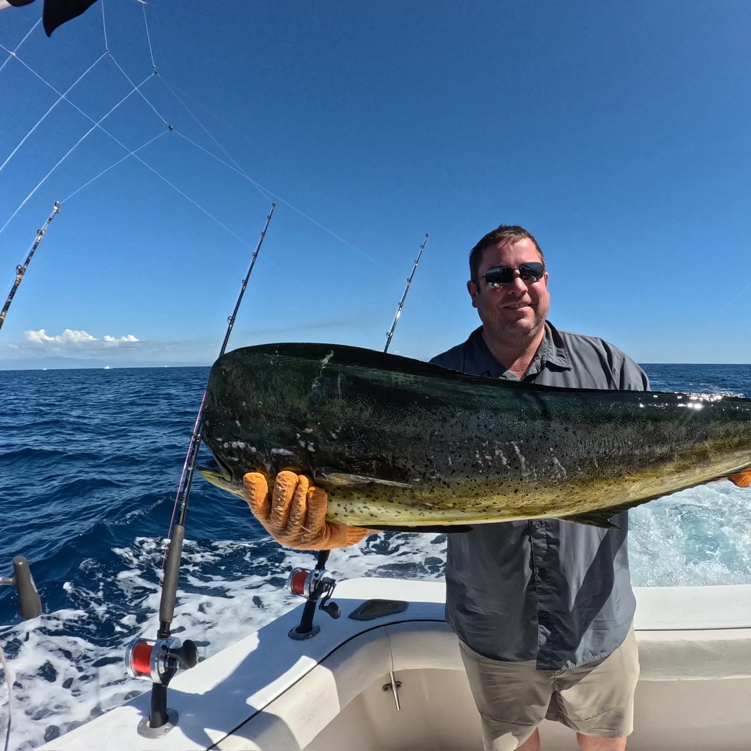 The most recent Common dolphinfish catches on Fishbrain