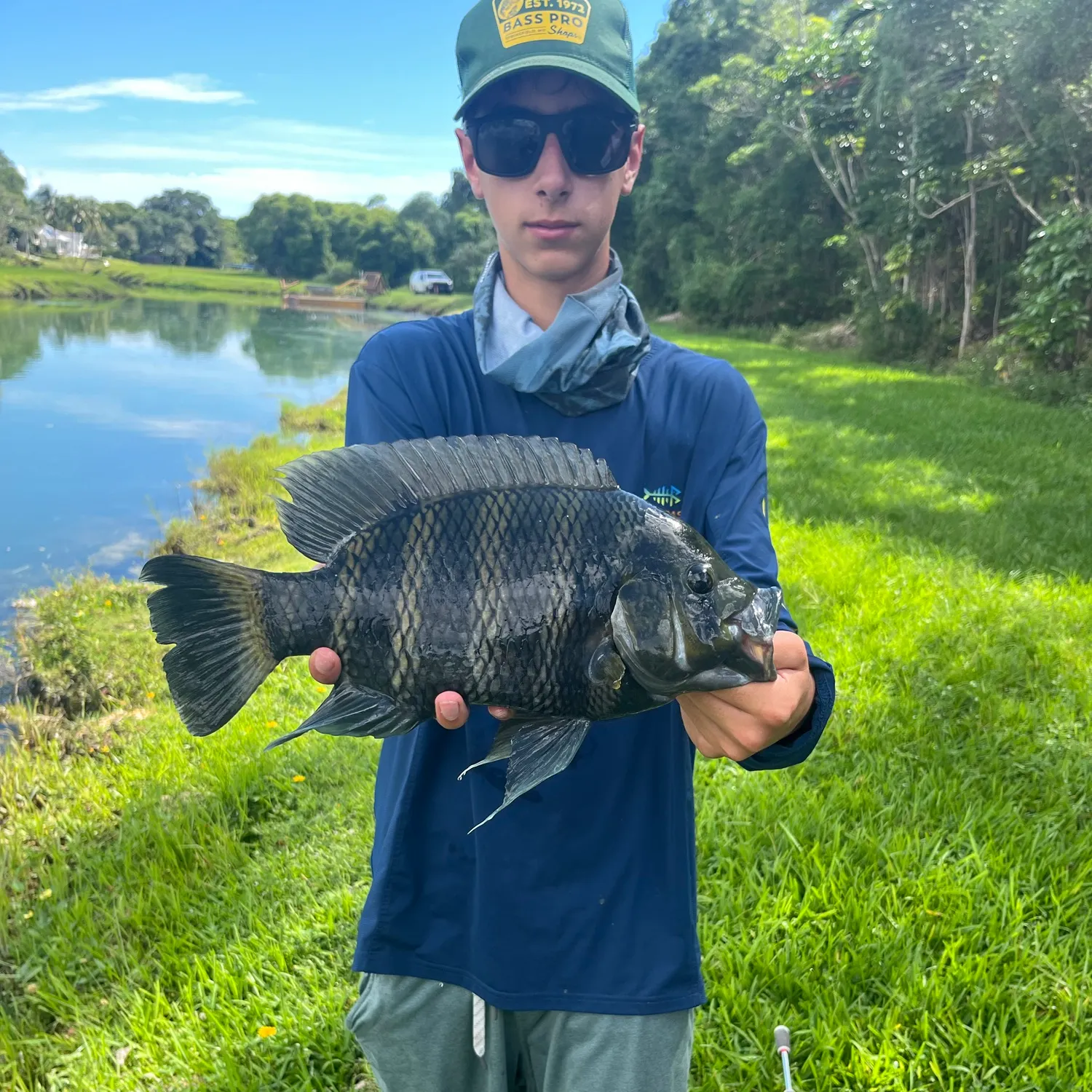 The most recent Zebra tilapia catches on Fishbrain