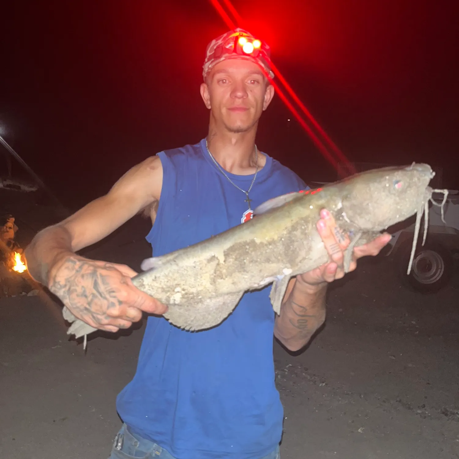 Channel catfish caught on Fishbrain