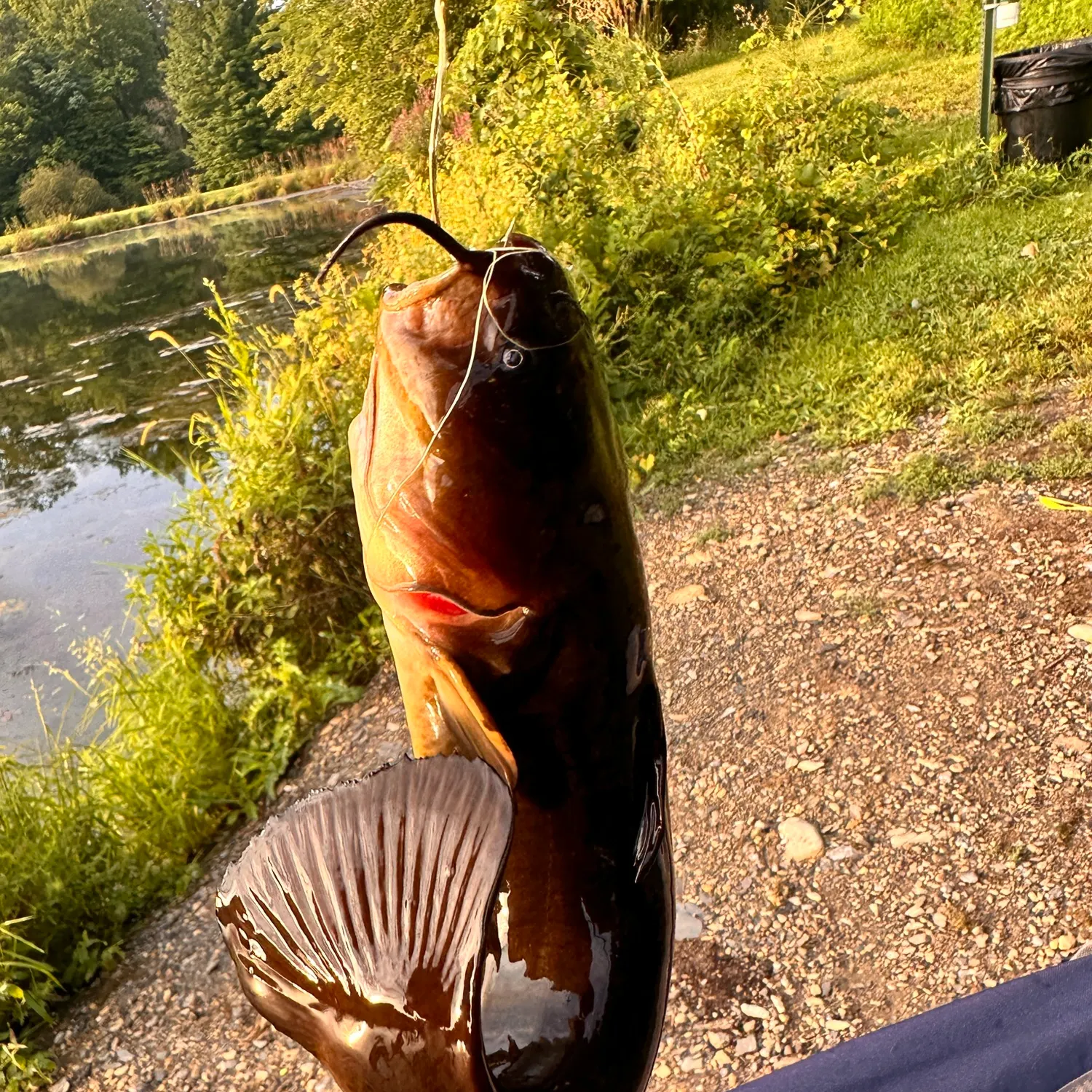 catch