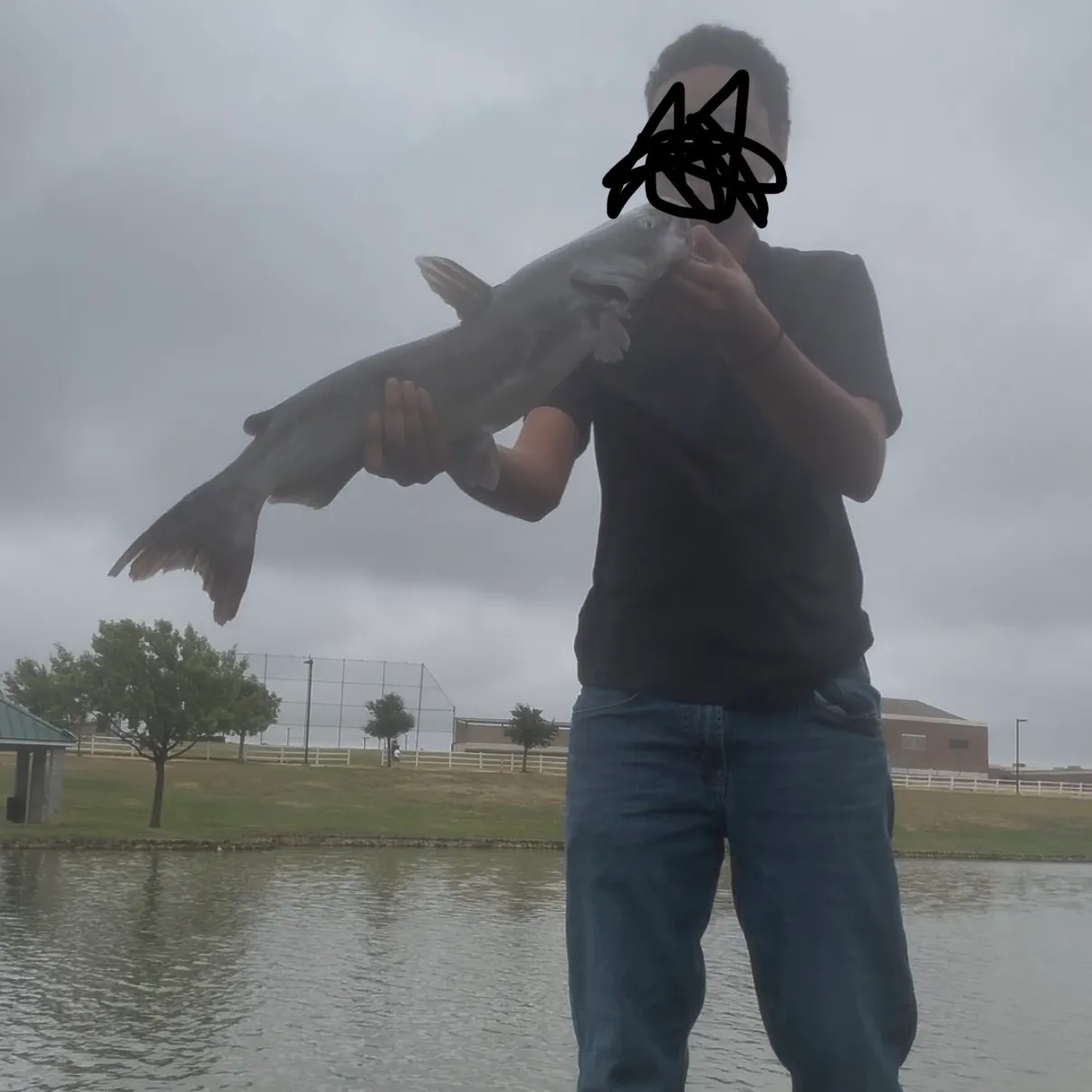 Channel catfish caught on Fishbrain