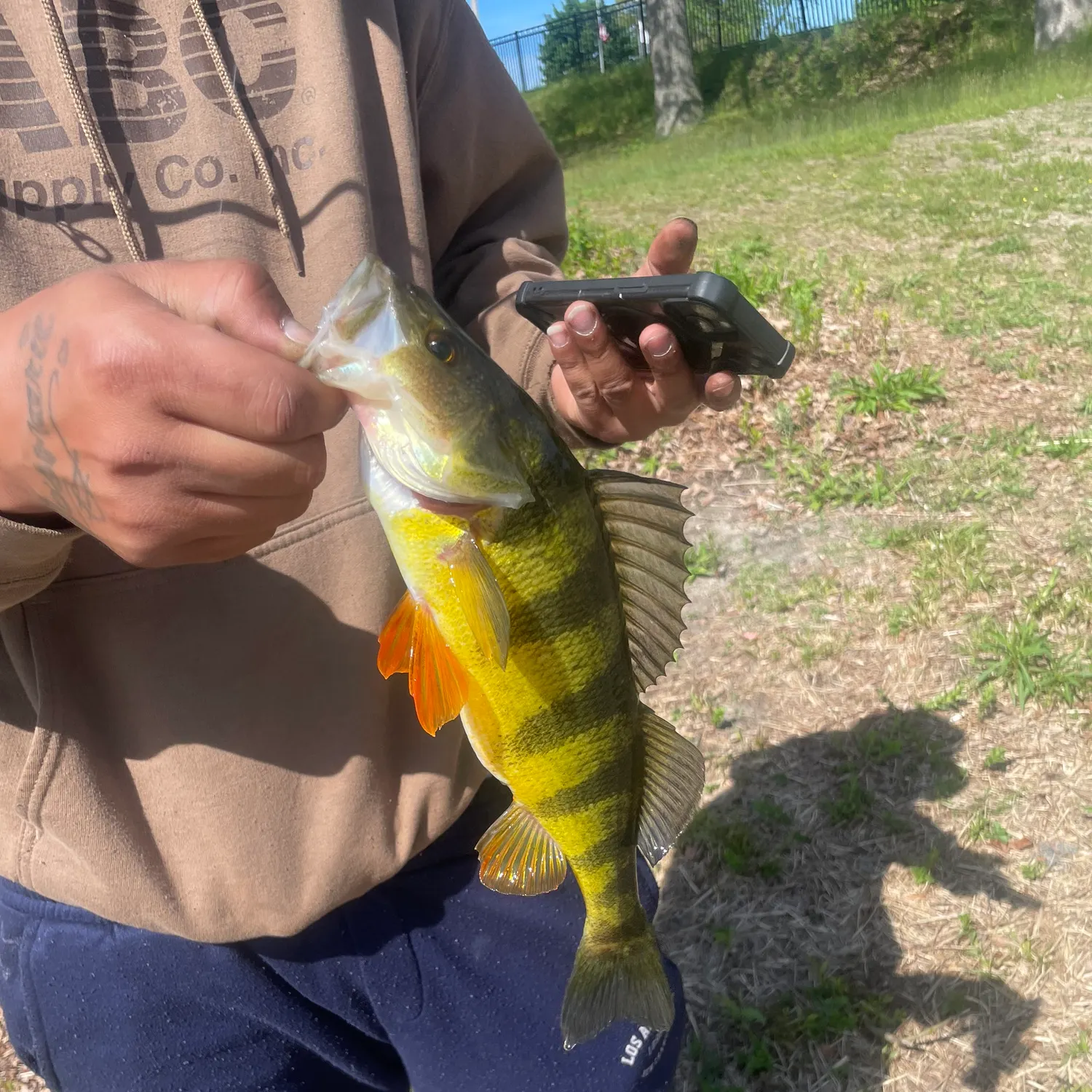 catch
