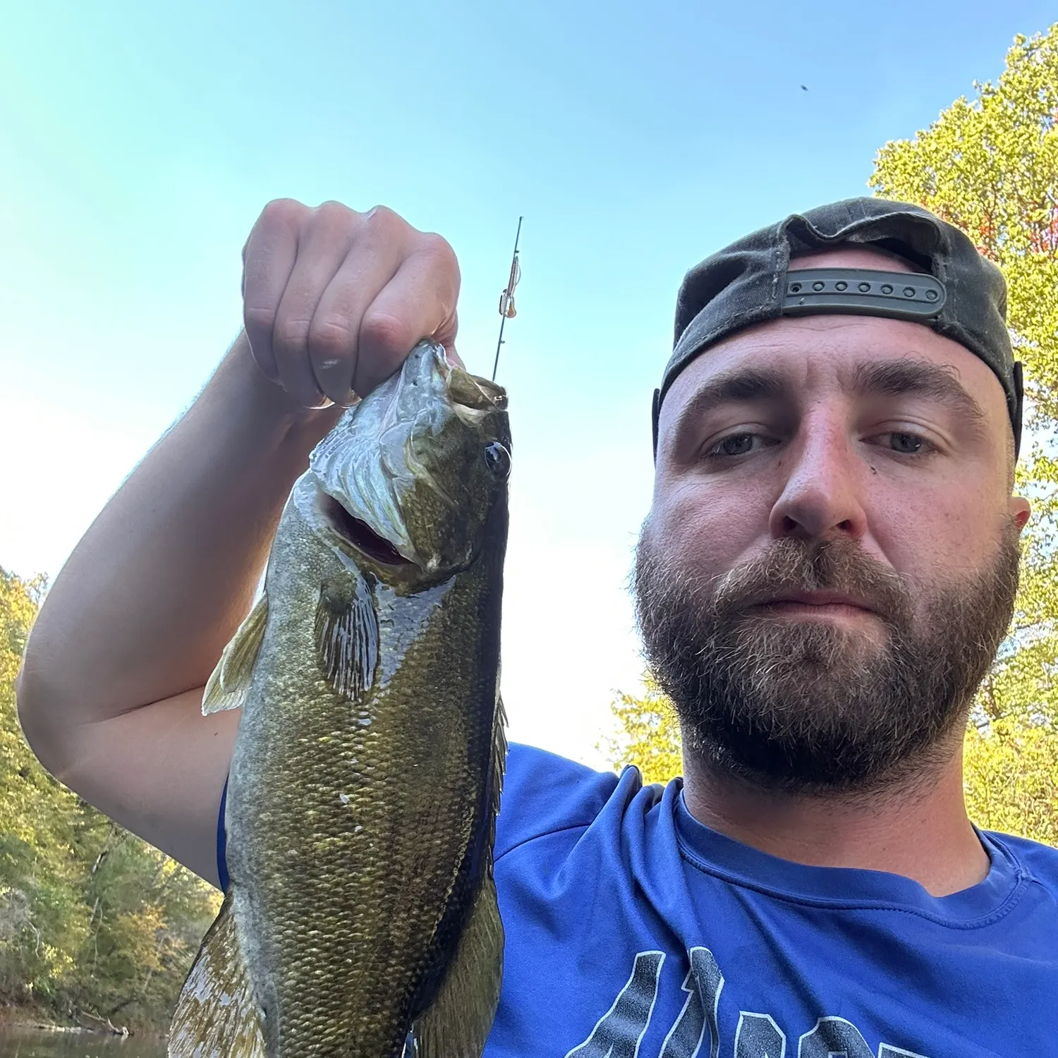 Smallmouth bass caught on Fishbrain
