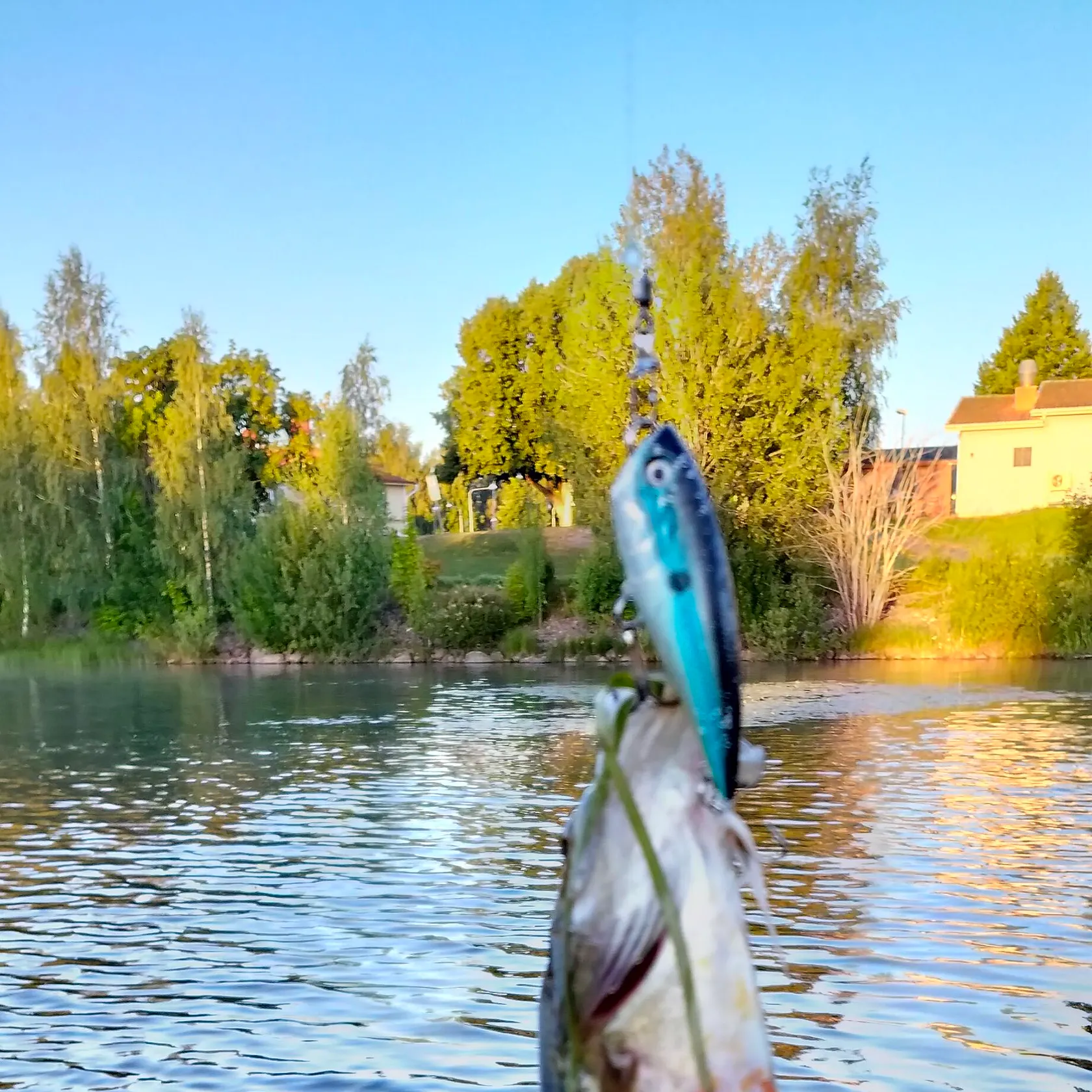 catch
