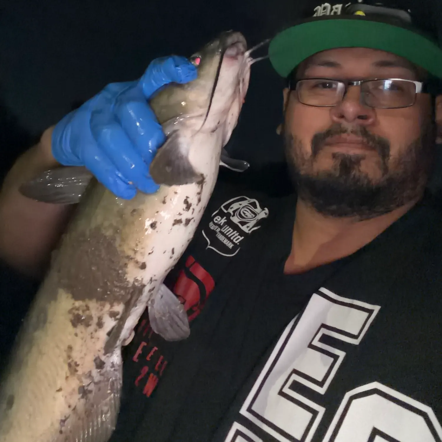 Channel catfish caught on Fishbrain