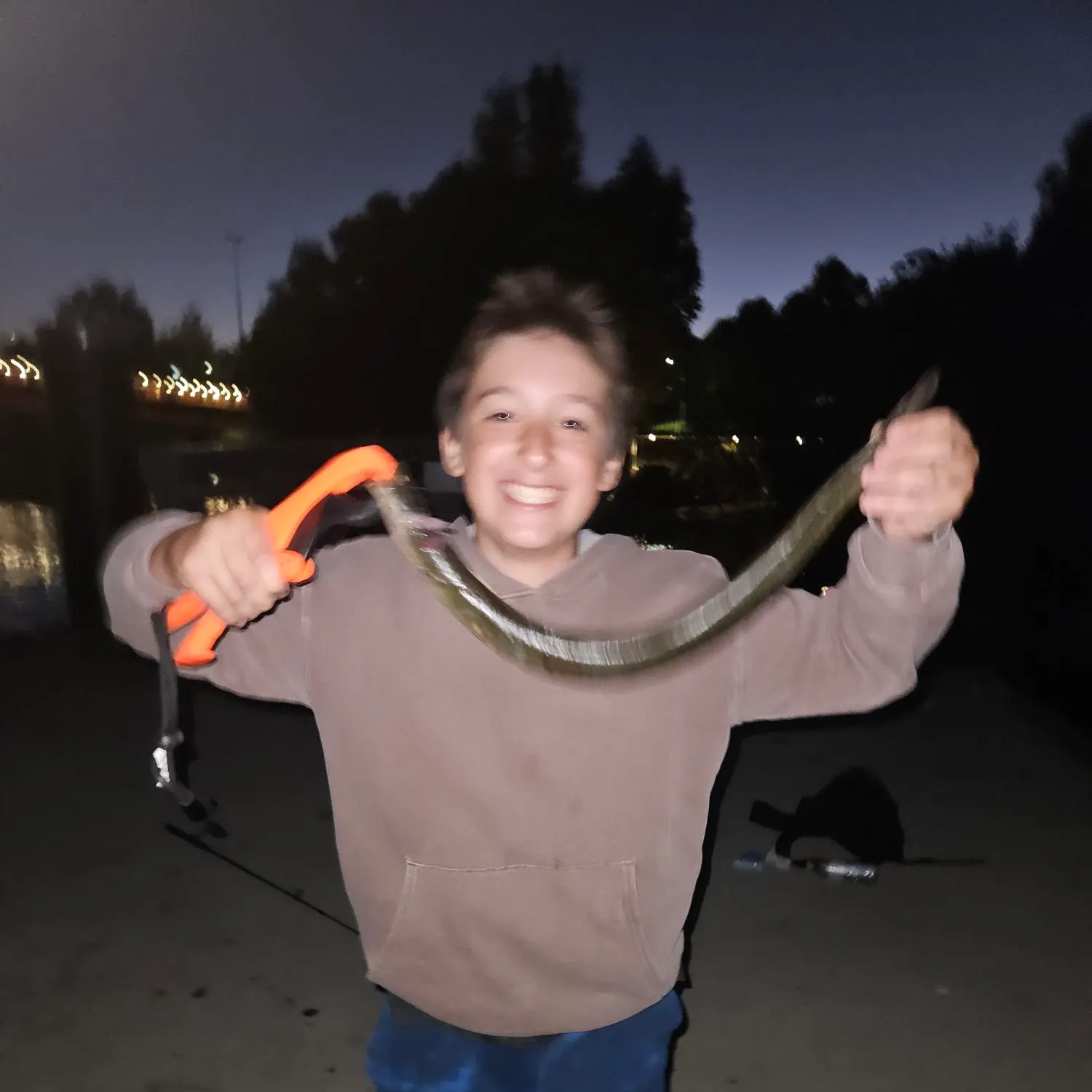 The most recent Speckled longfin eel catches on Fishbrain