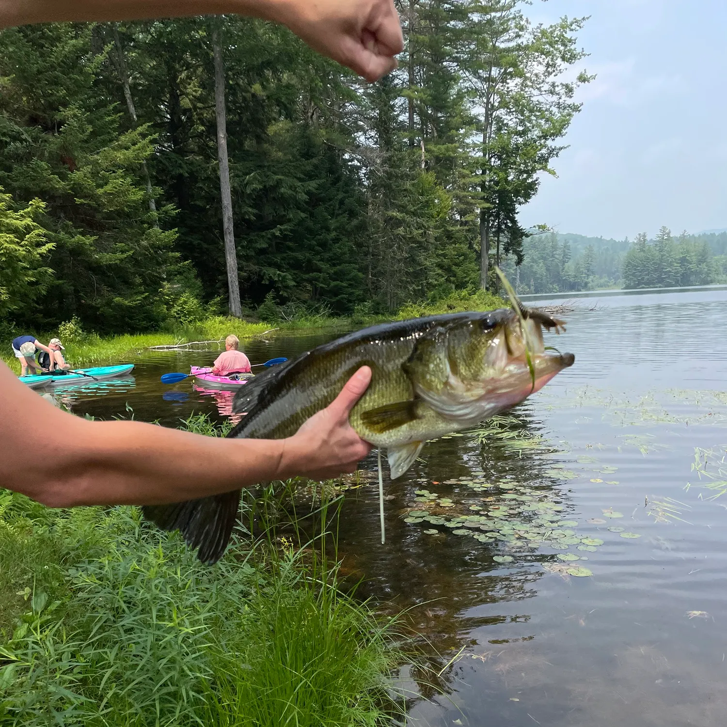 catch