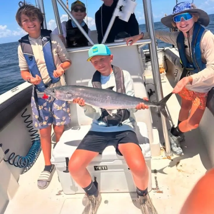 The most recent King mackerel catches on Fishbrain