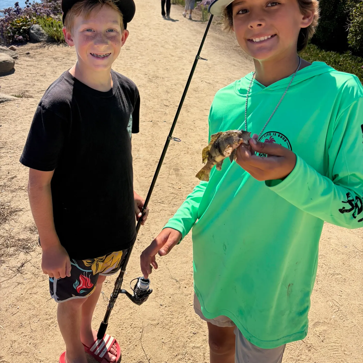 The most recent Barred sand bass catches on Fishbrain