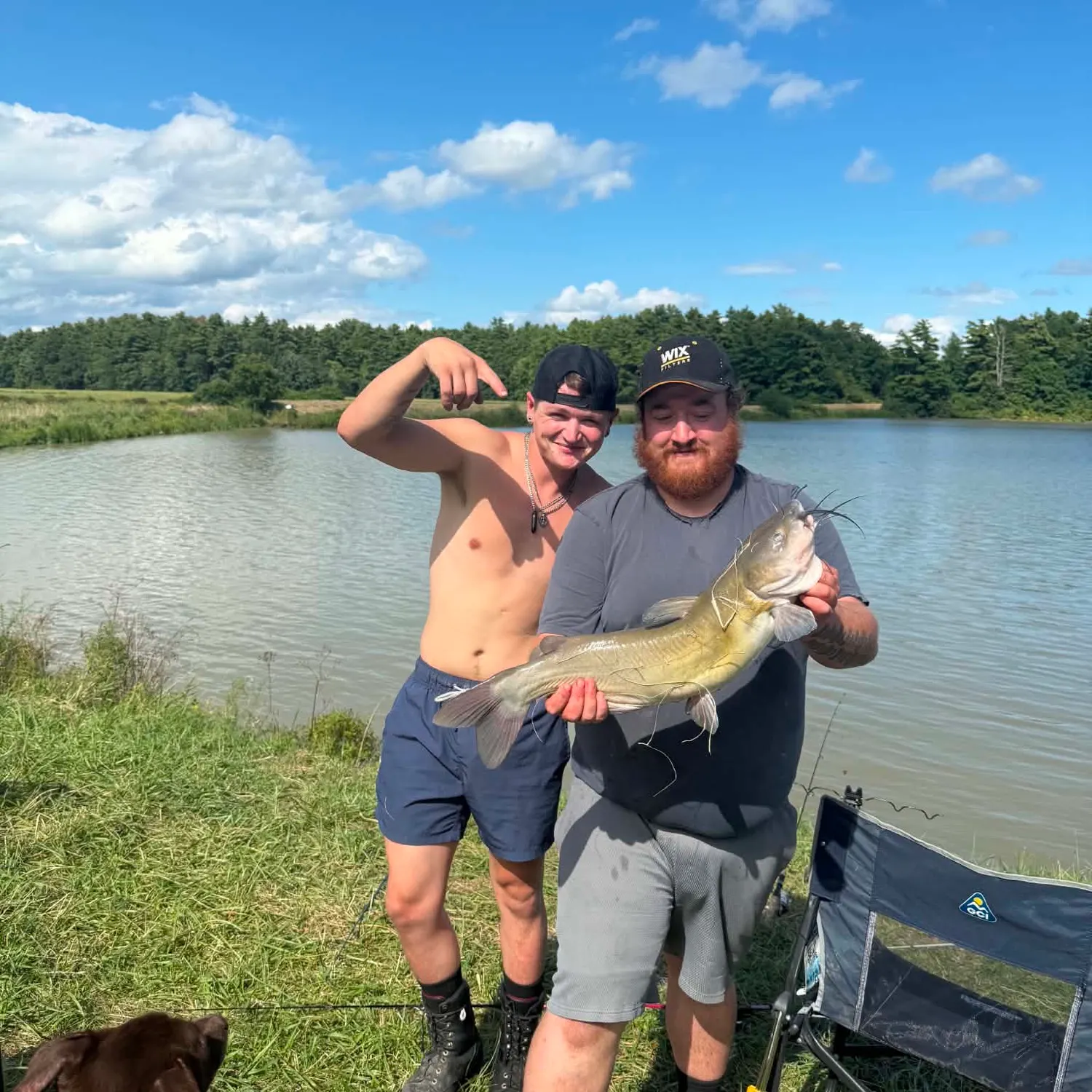 Channel catfish caught on Fishbrain