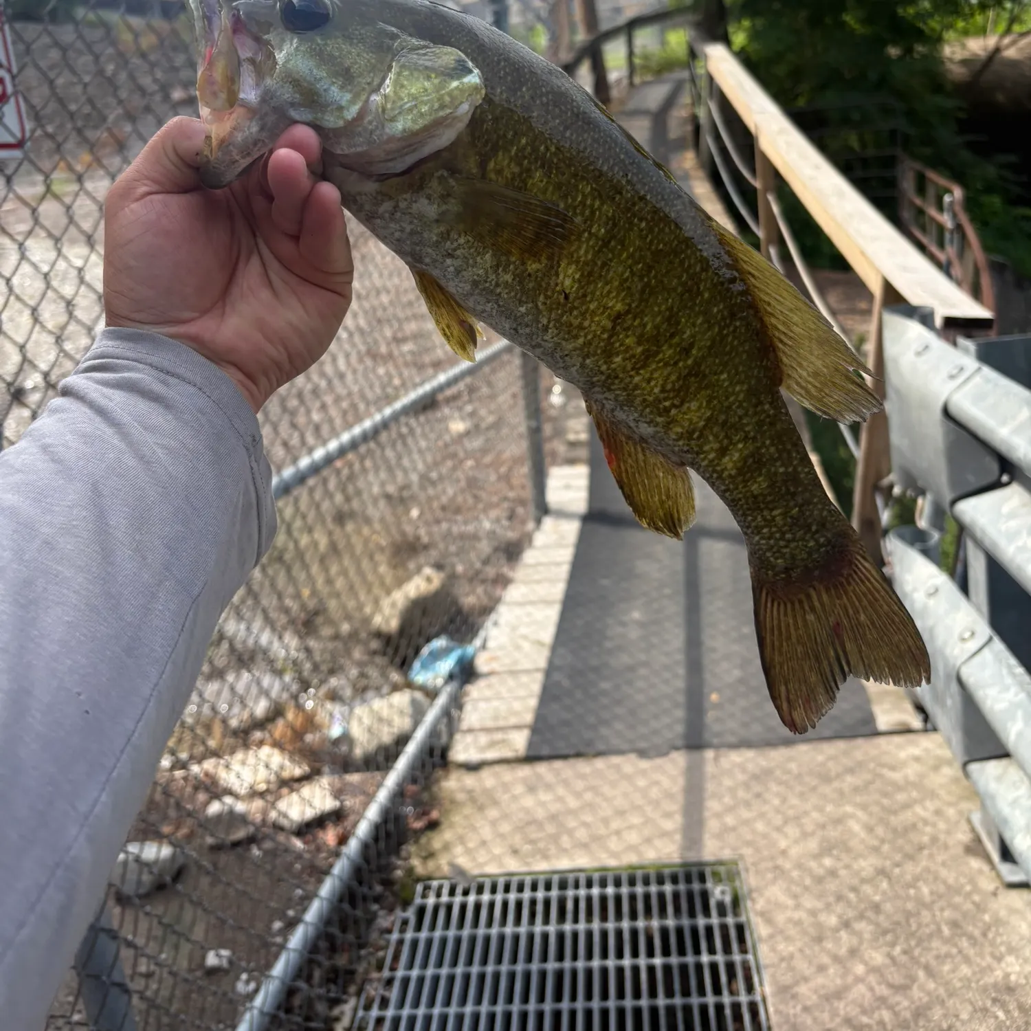 catch